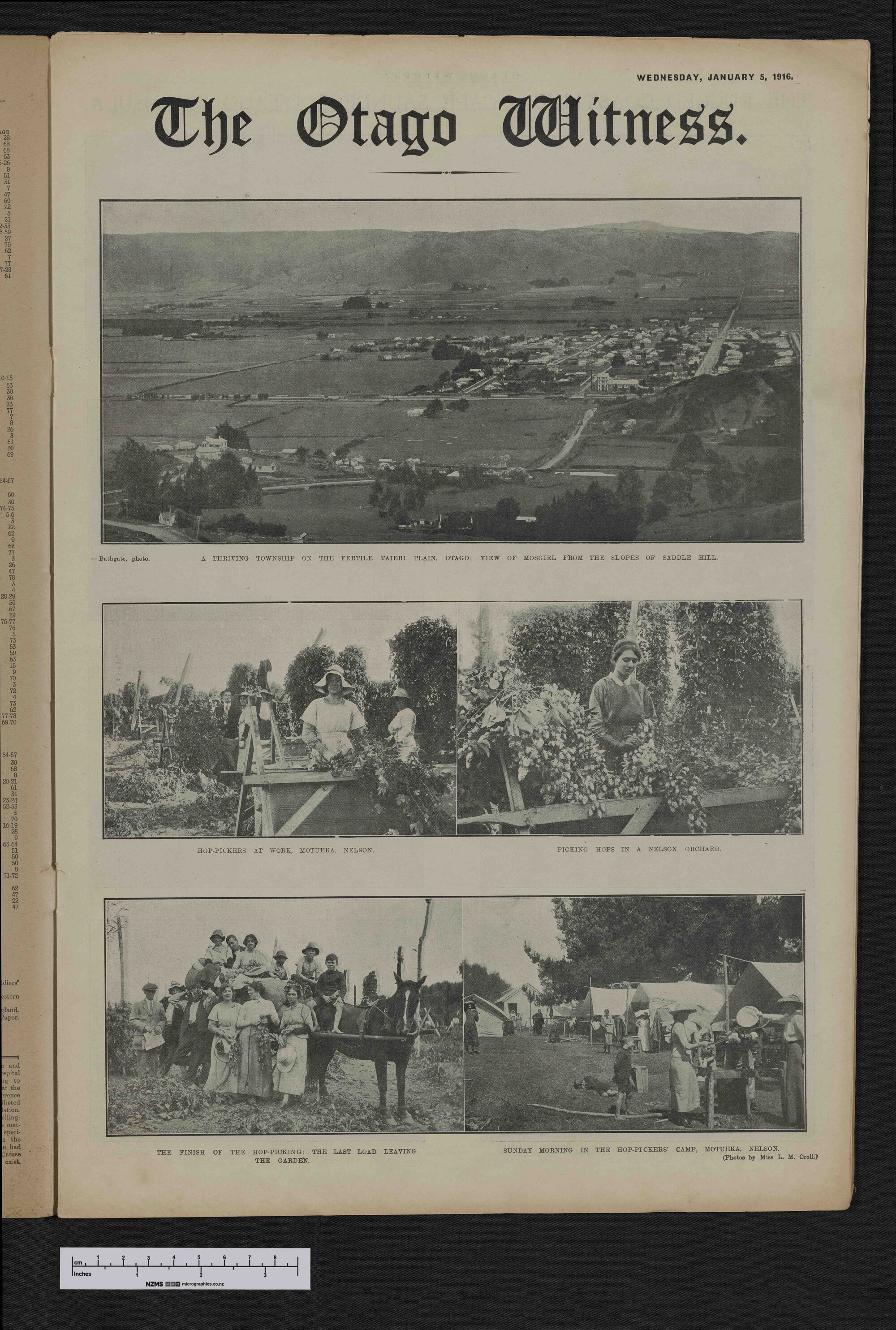 1916-01-05 Otago Witness