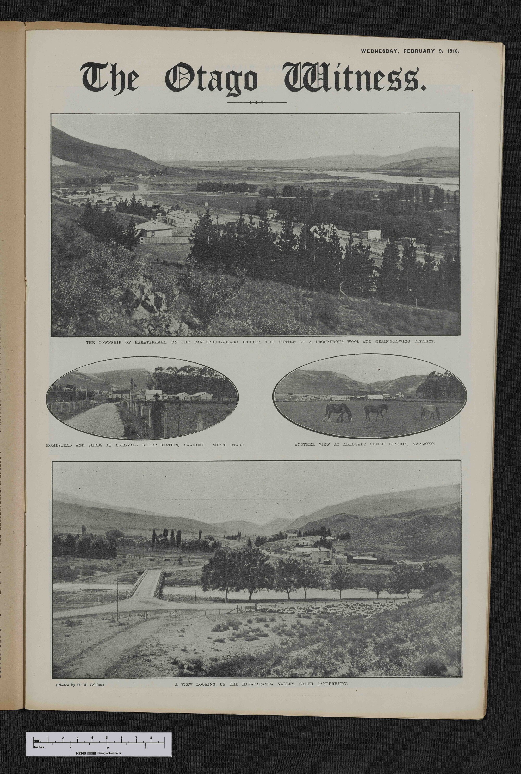 1916-02-09 Otago Witness