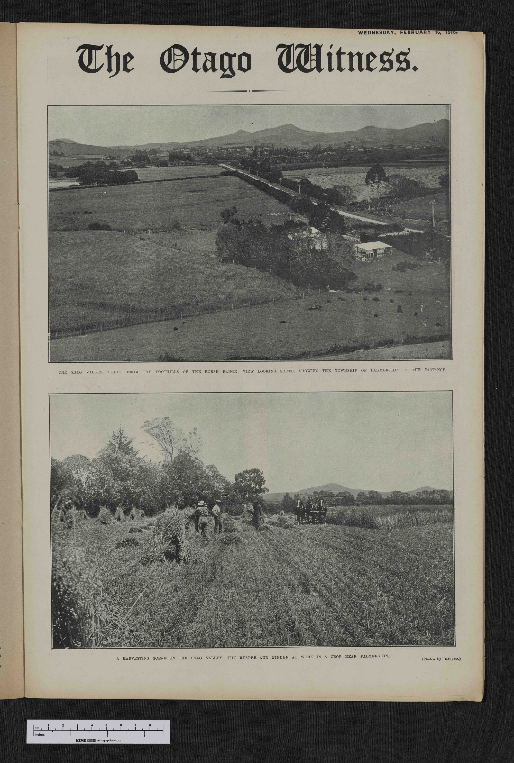 1916-02-16 Otago Witness