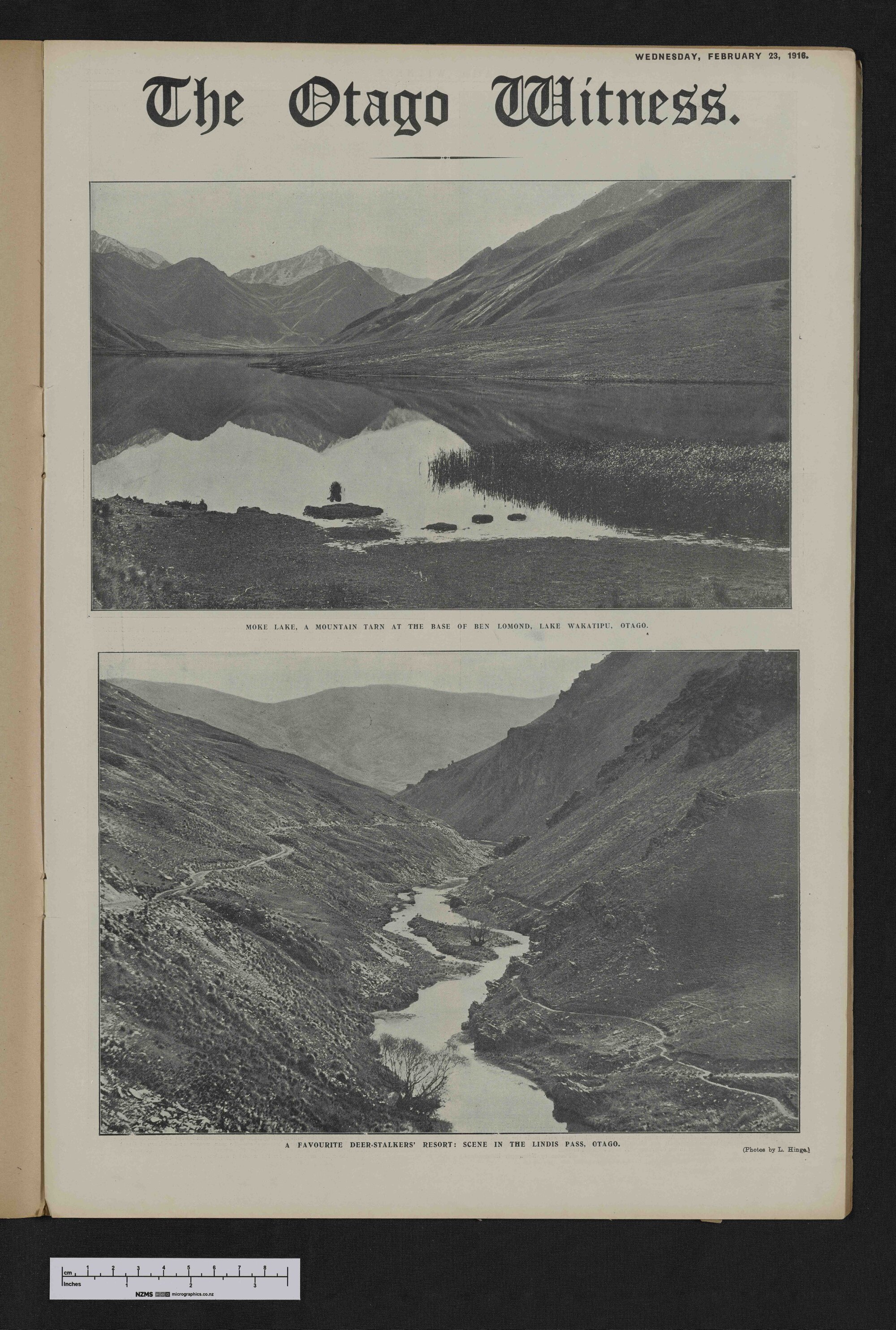 1916-02-23 Otago Witness