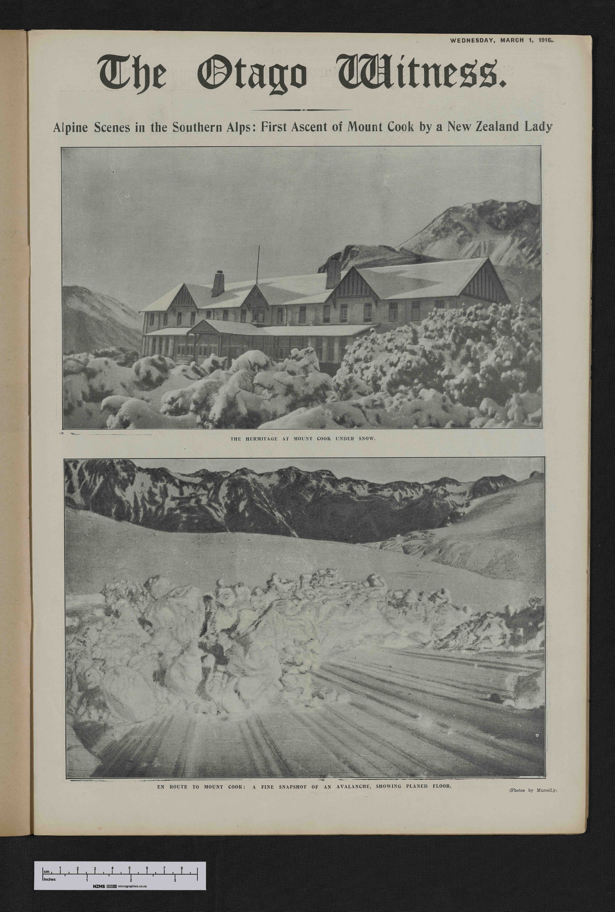 1916-03-01 Otago Witness