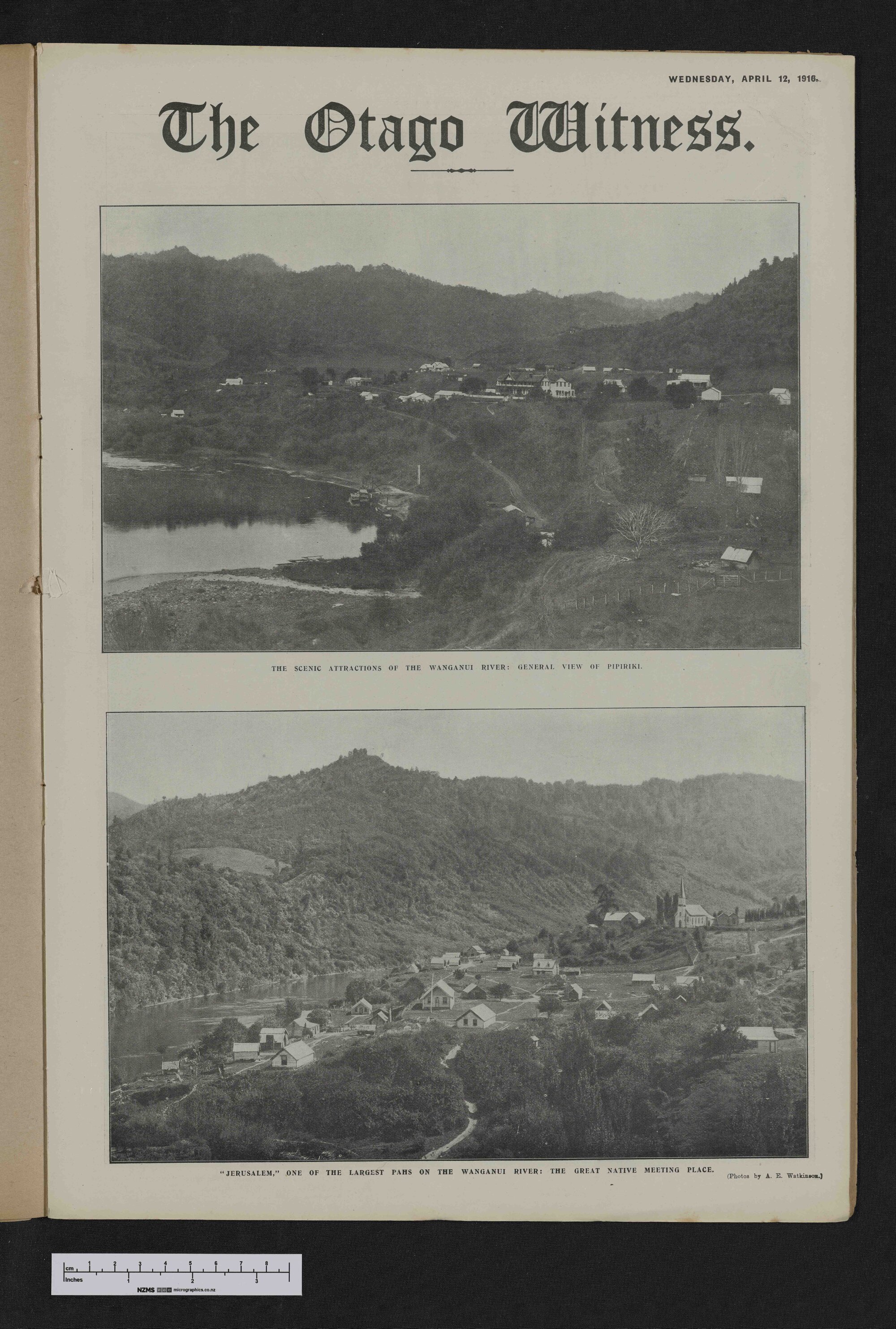 1916-04-12 Otago Witness