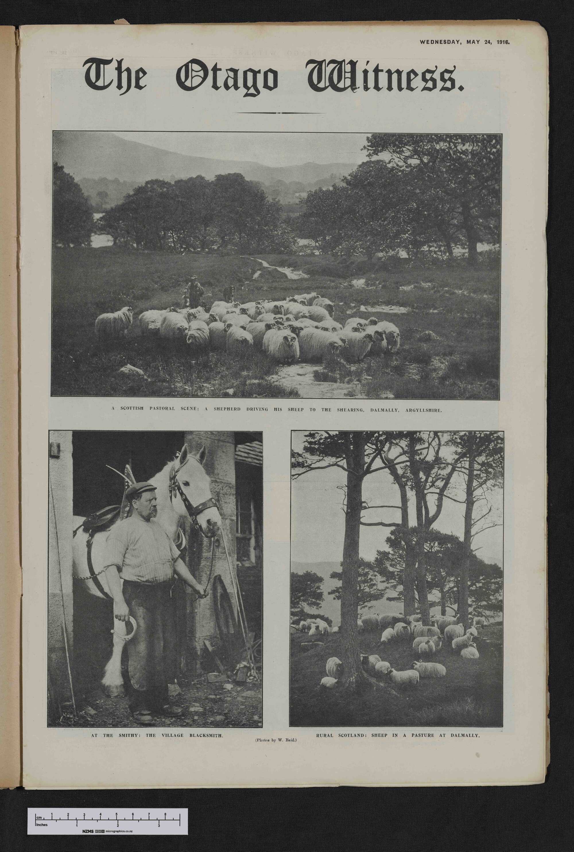 1916-05-24 Otago Witness