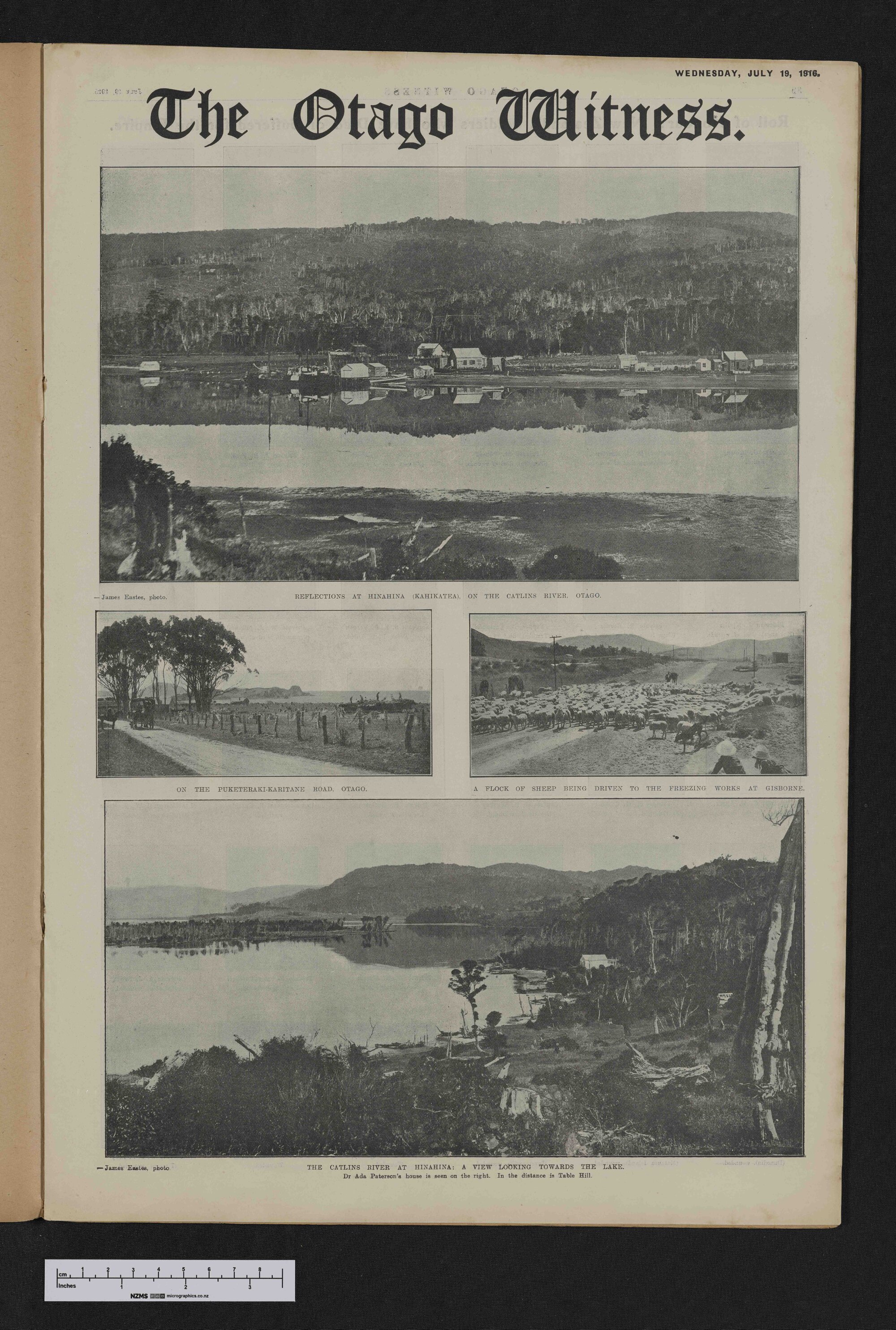 1916-07-19 Otago Witness