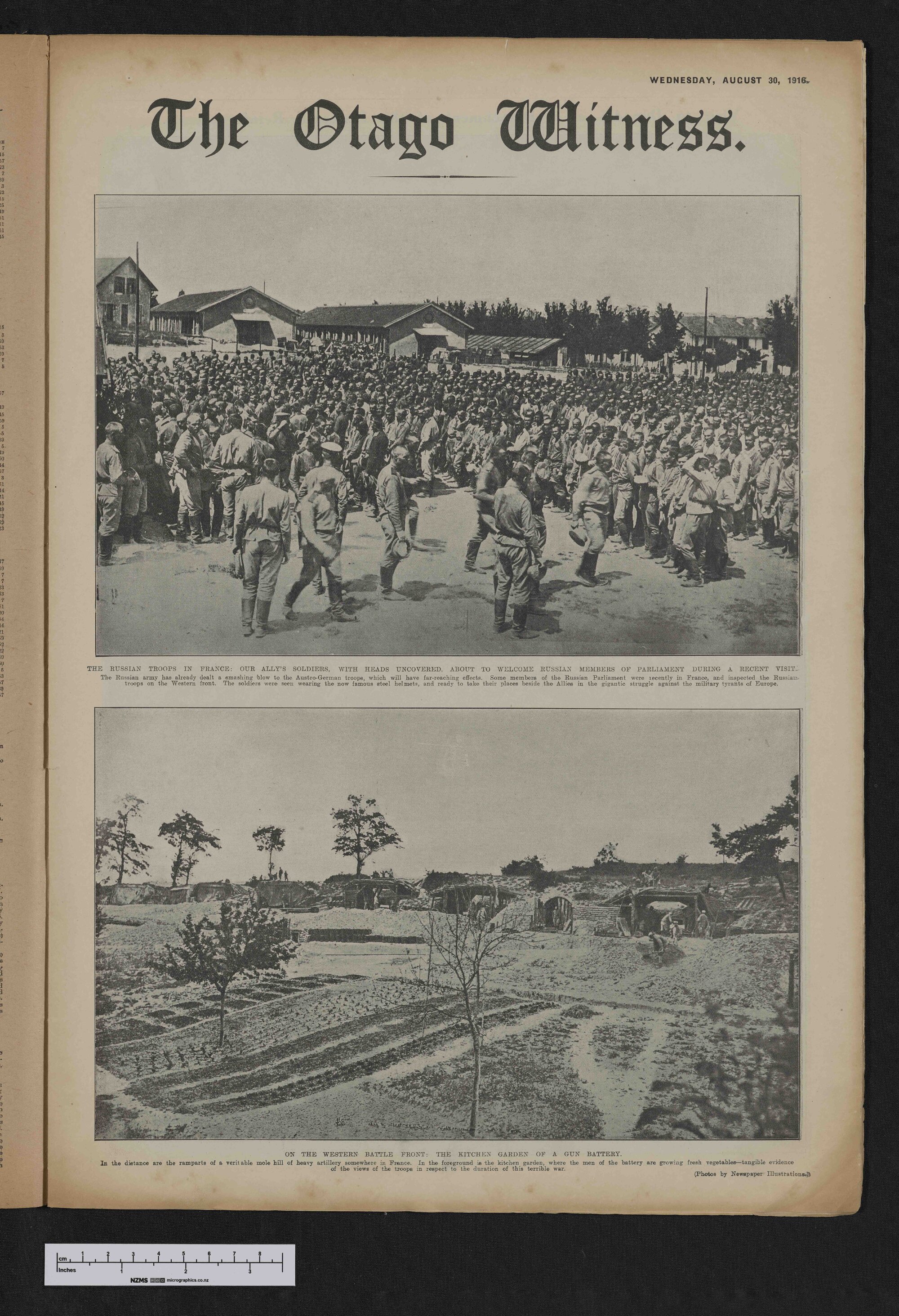 1916-08-30 Otago Witness