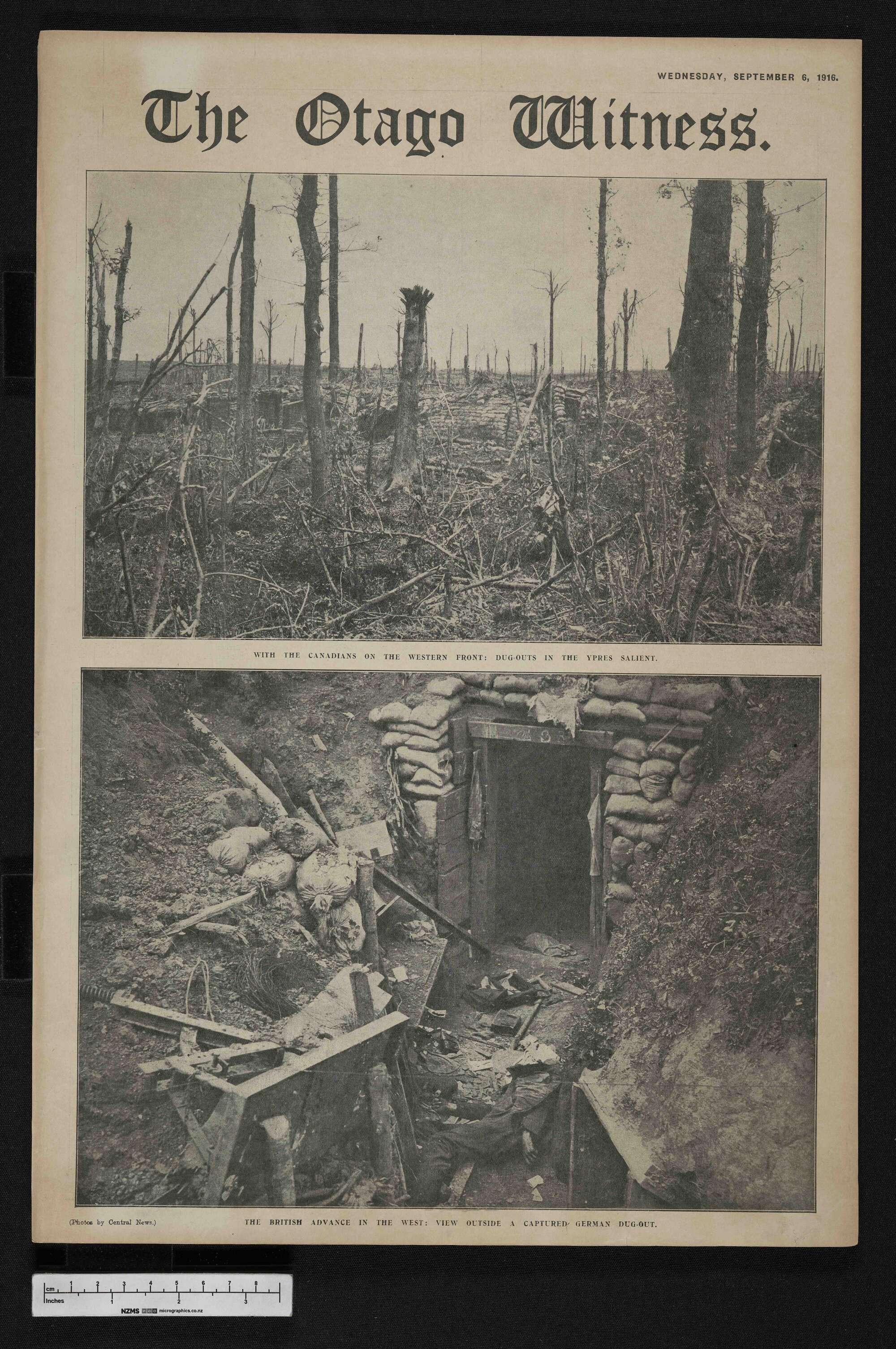 1916-09-06 Otago Witness