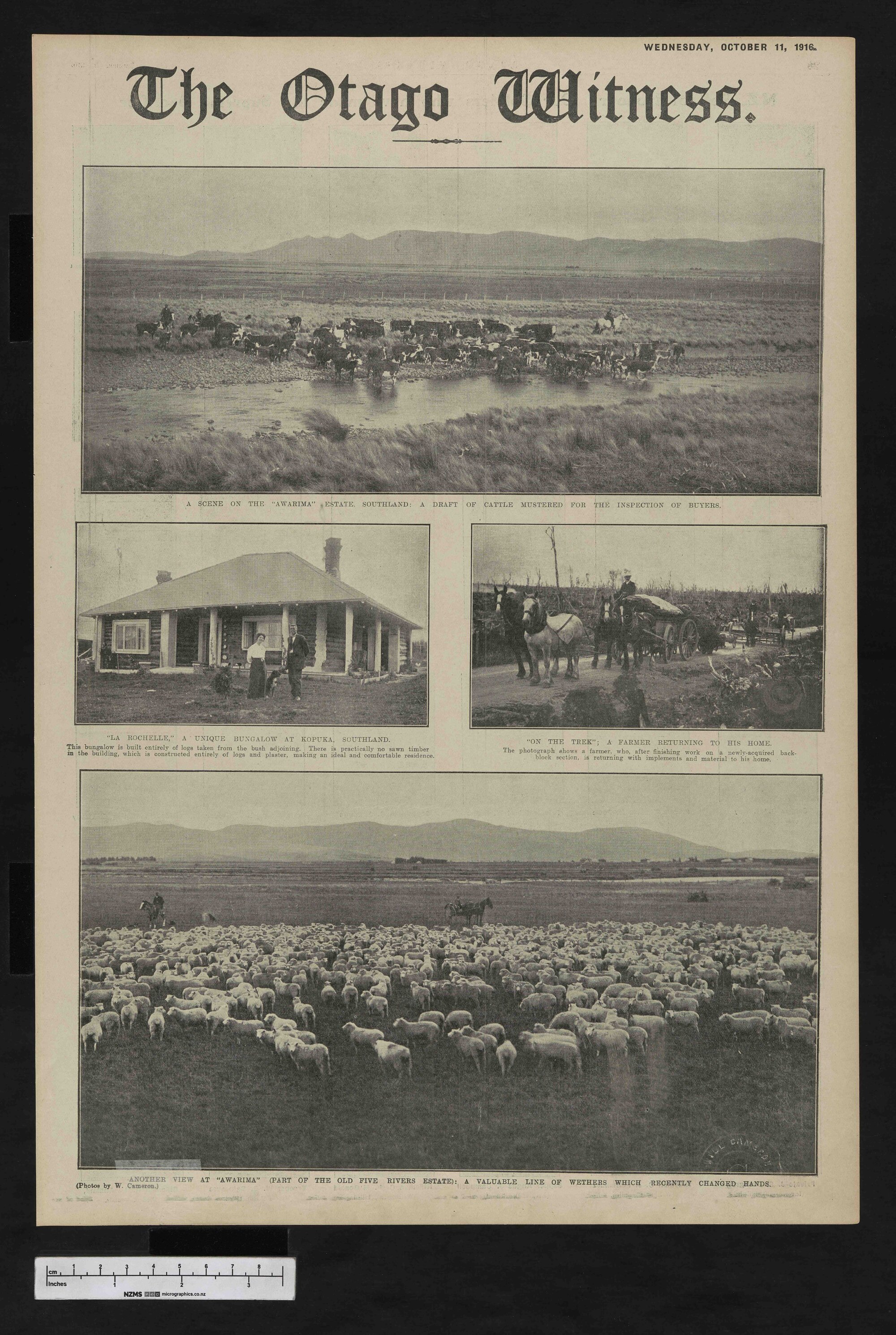 1916-10-11 Otago Witness