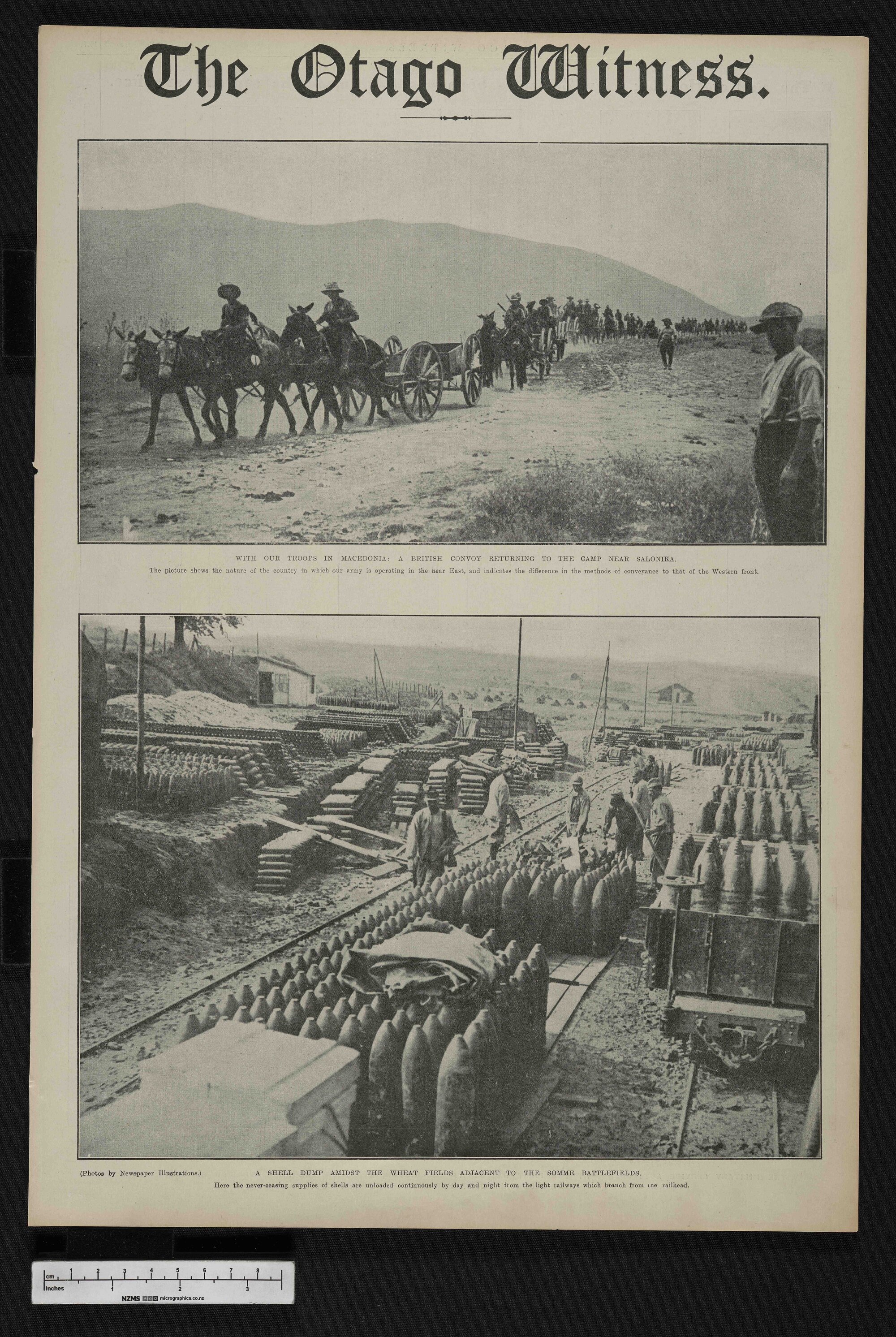 1916-11-22 Otago Witness