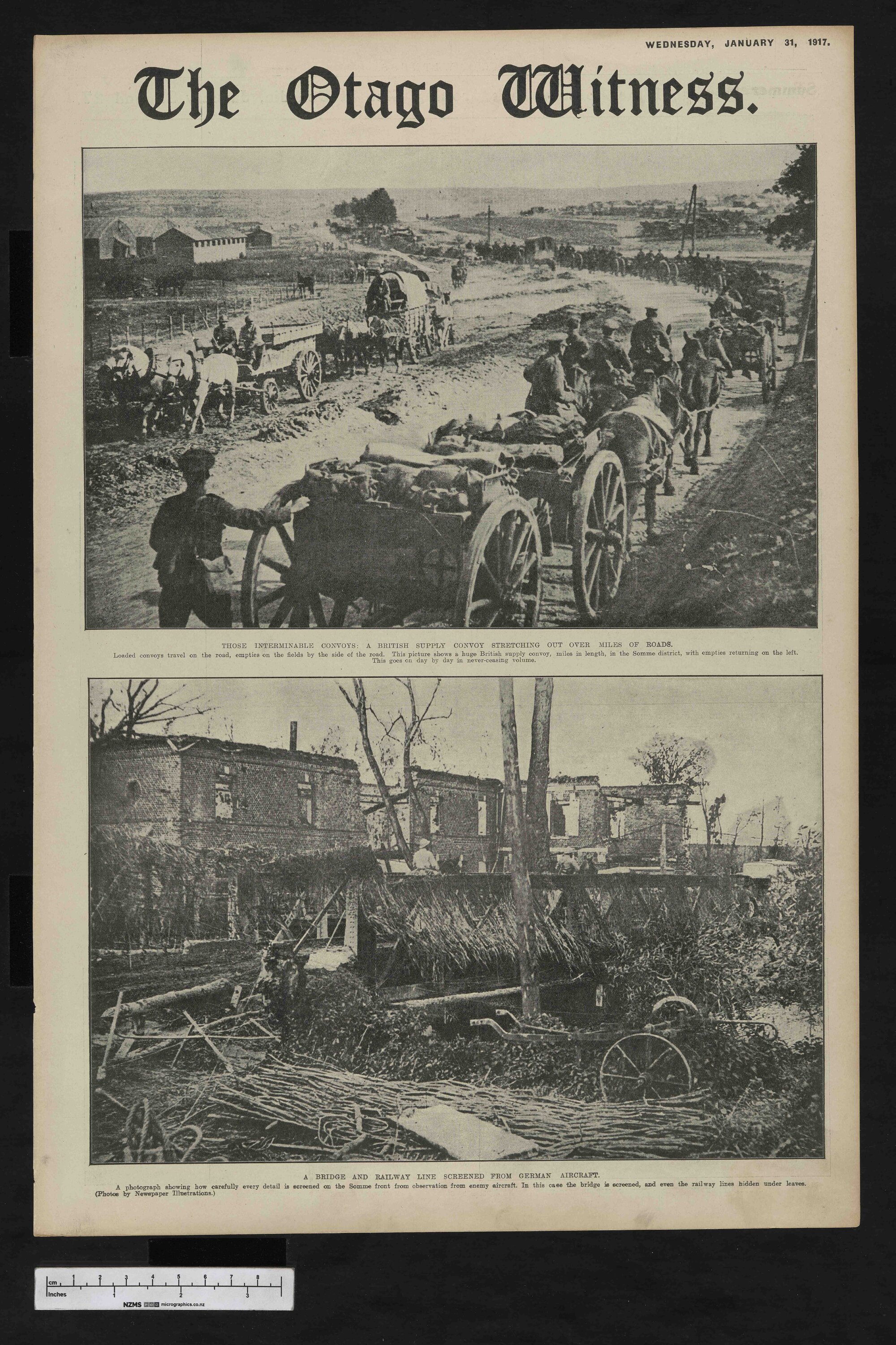 1917-01-31 Otago Witness