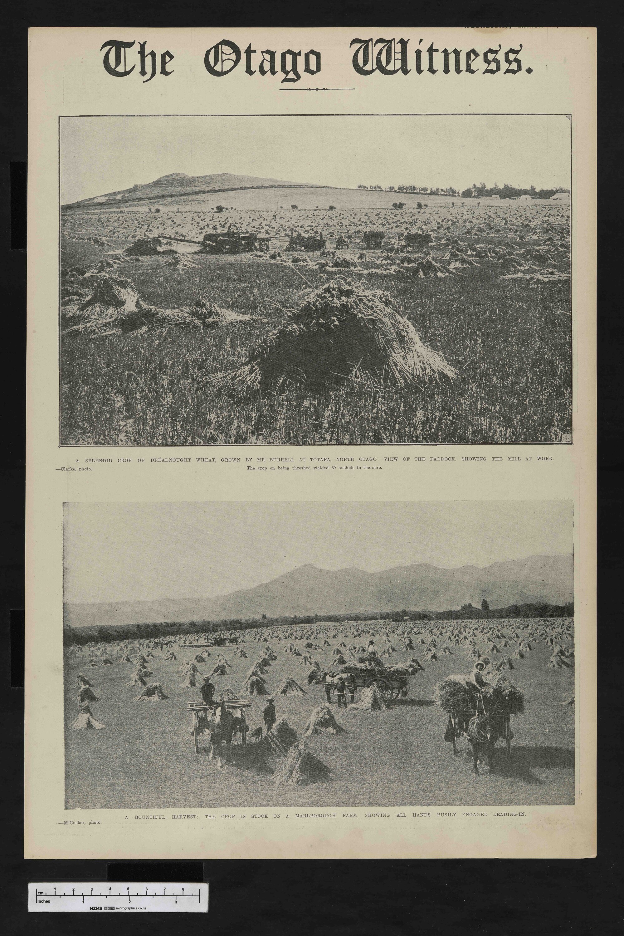 1917-03-14 Otago Witness