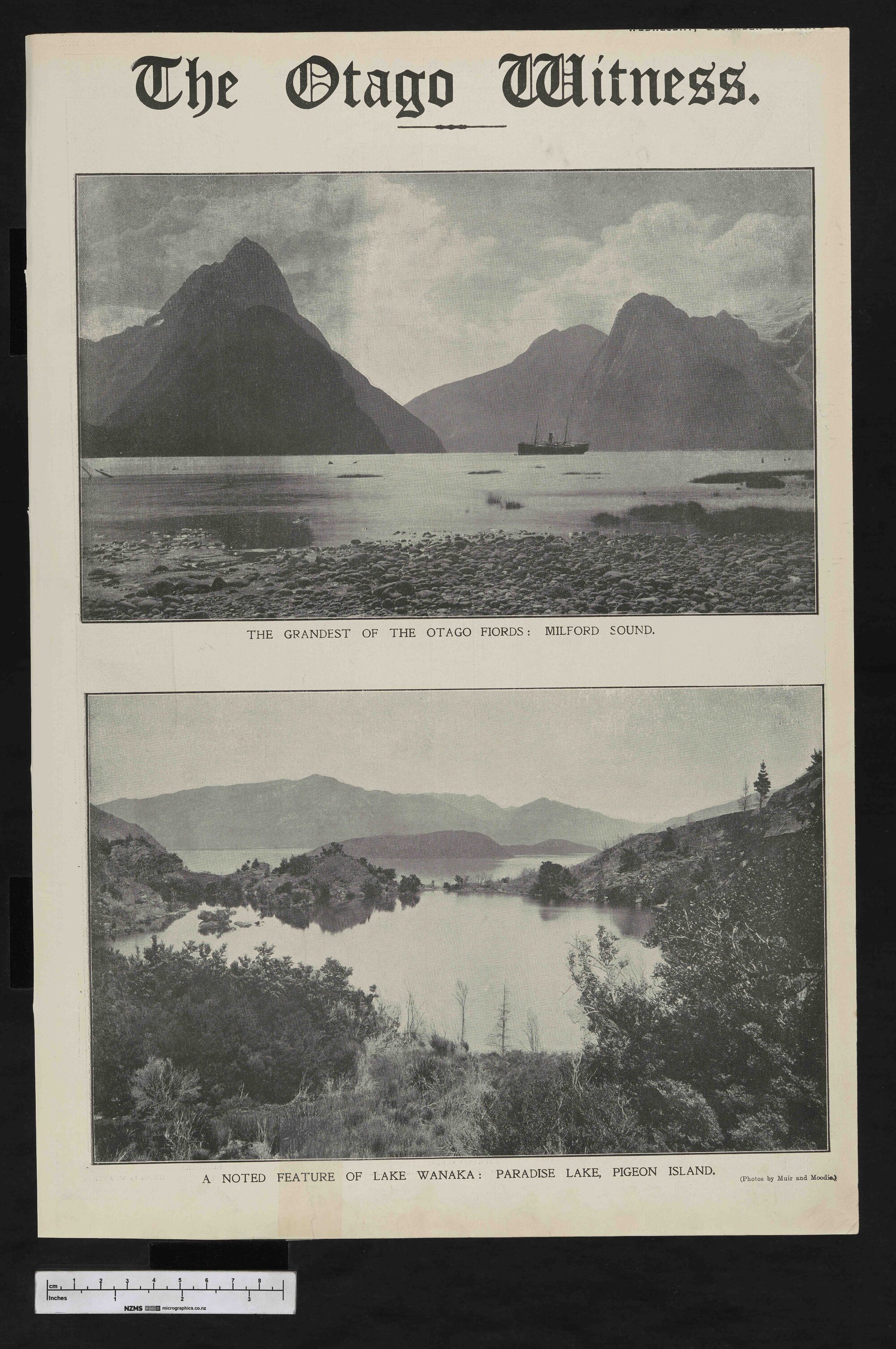 1917-12-19 Otago Witness