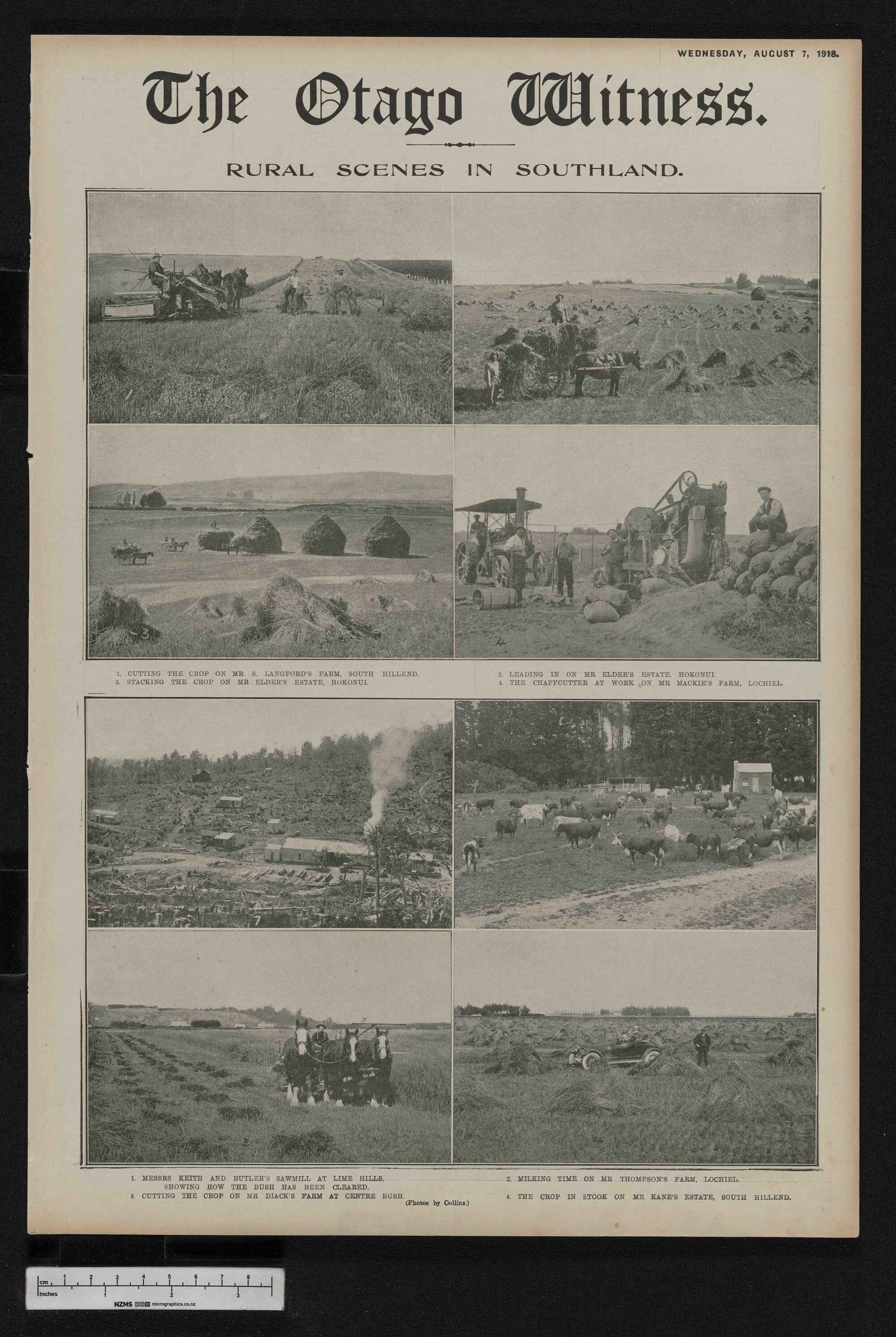 1918-08-07 Otago Witness