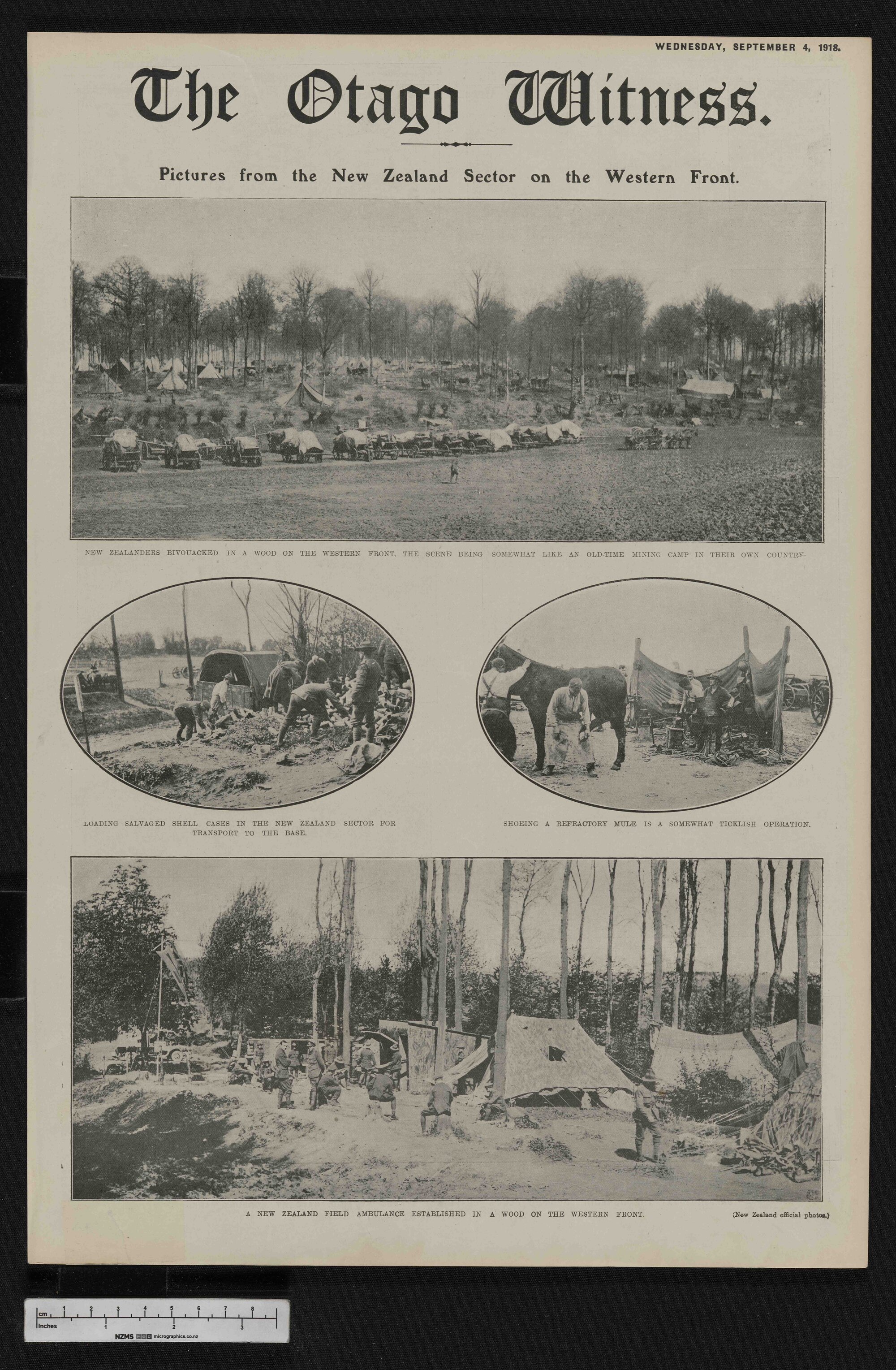 1918-09-04 Otago Witness