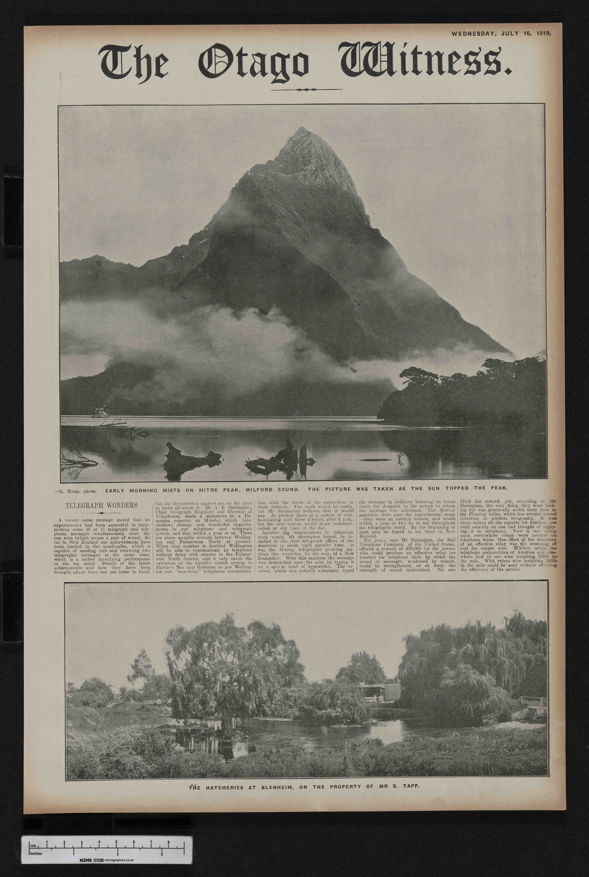 1919-07-16 Otago Witness