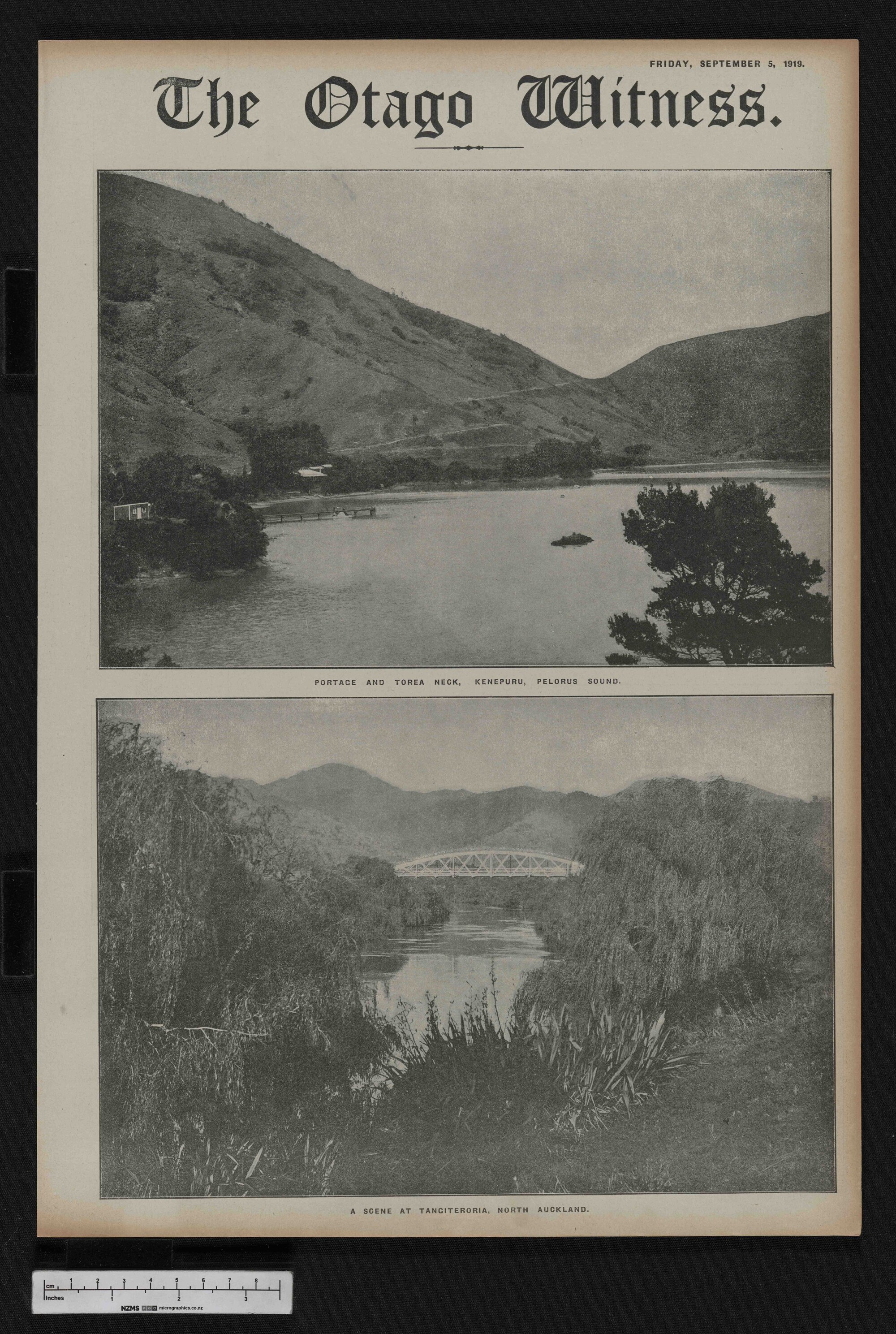 1919-09-05 Otago Witness