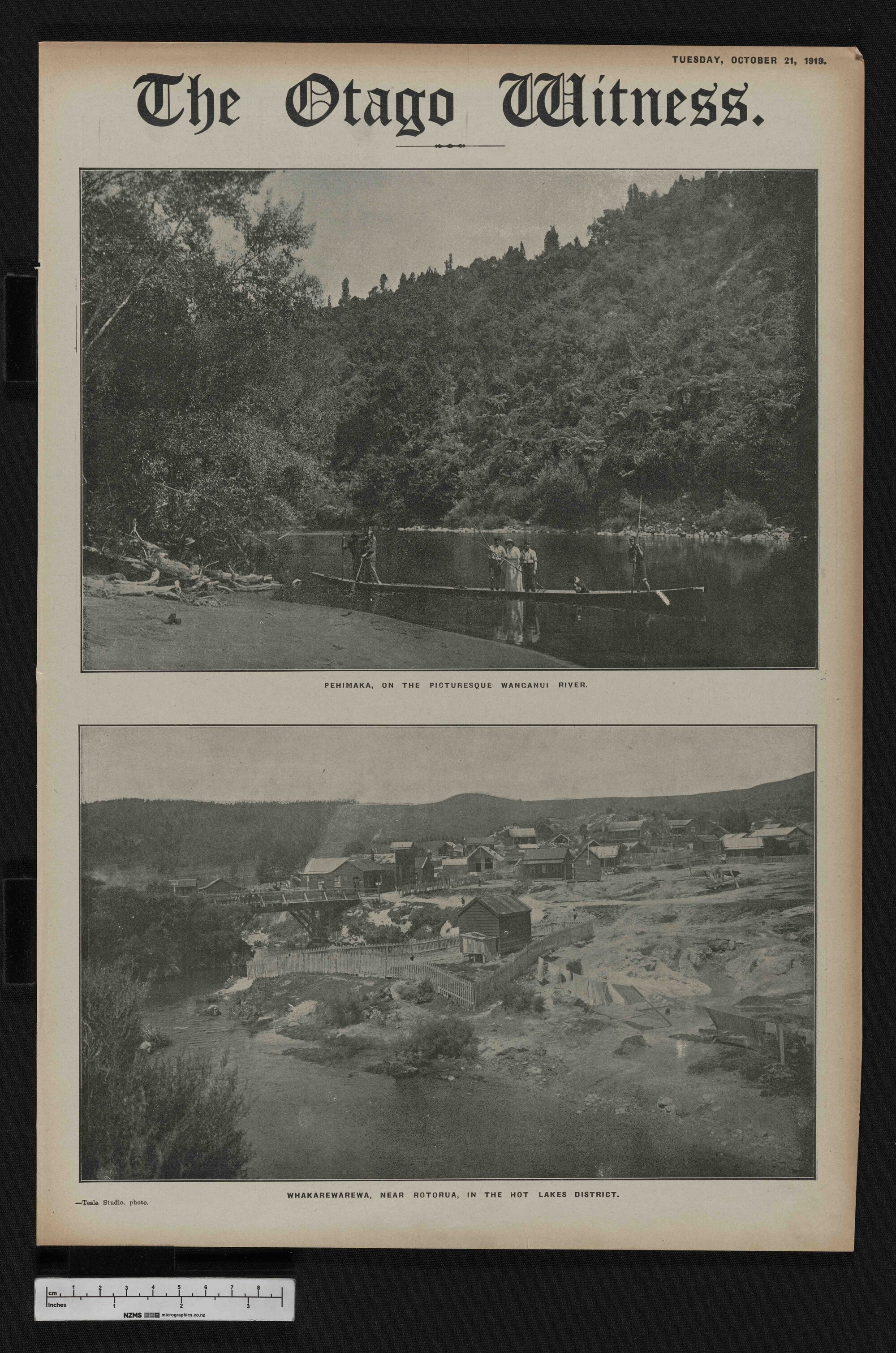 1919-10-21 Otago Witness