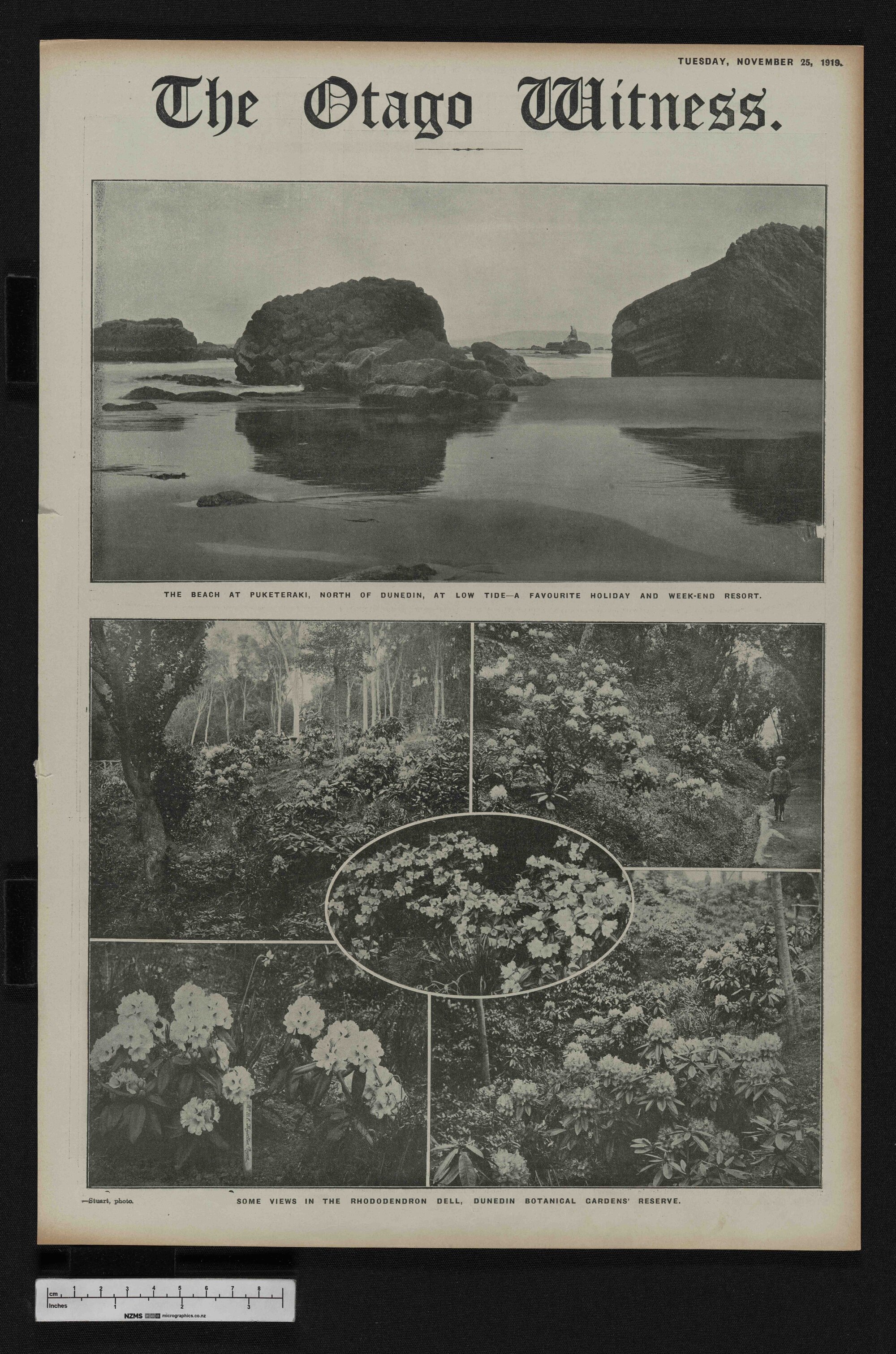 1919-11-25 Otago Witness