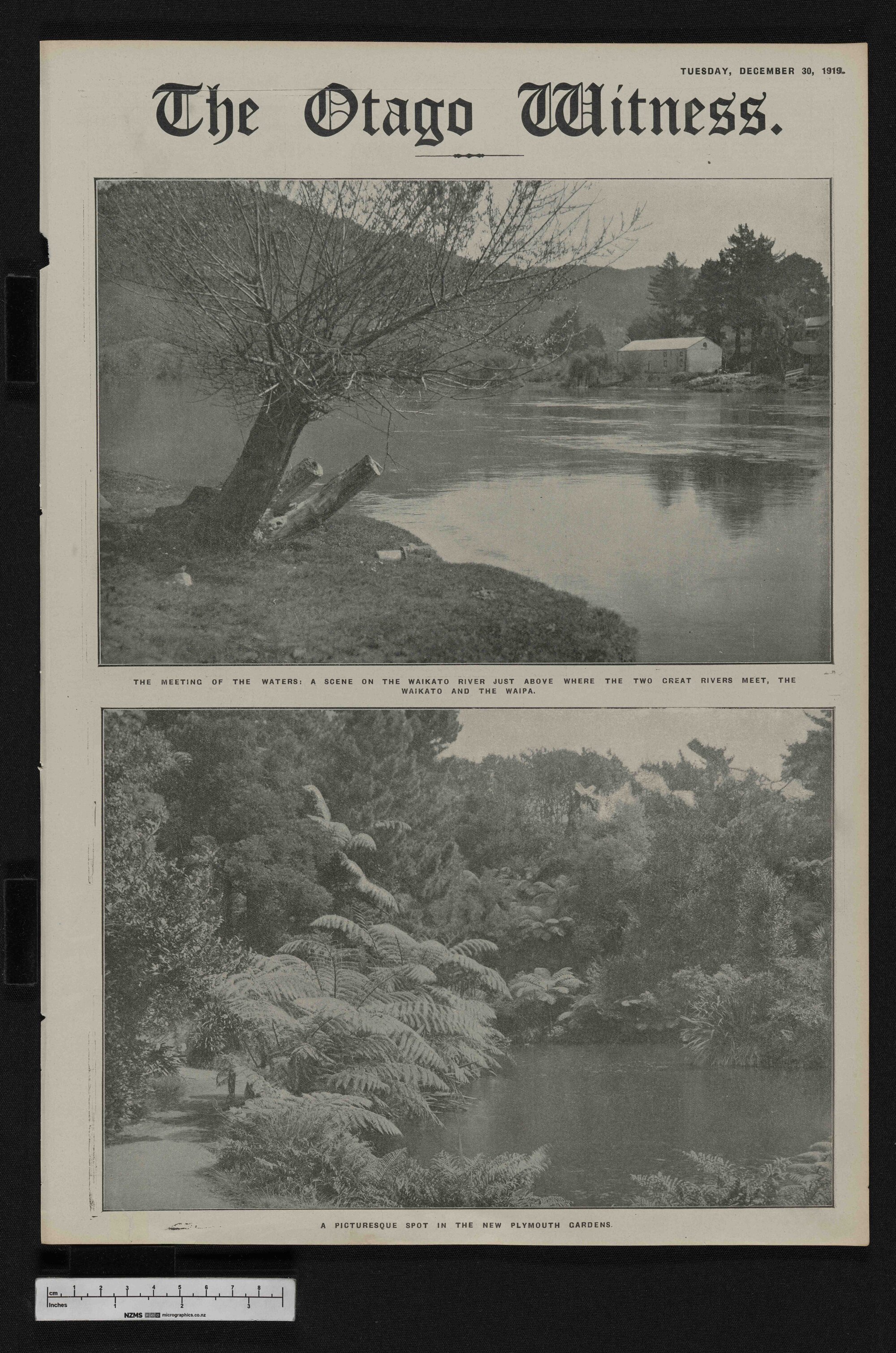 1919-12-30 Otago Witness