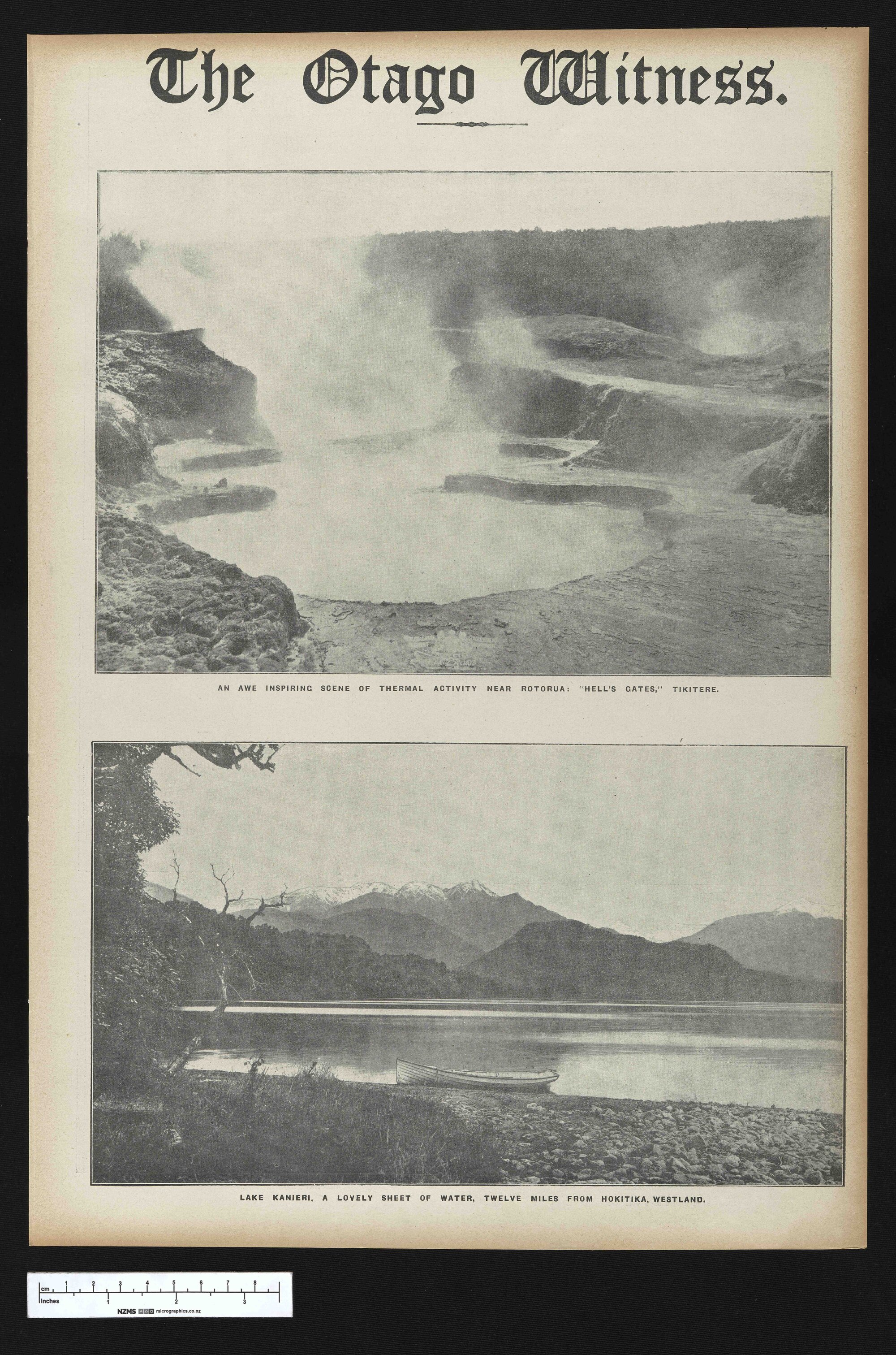 1920-01-20 Otago Witness