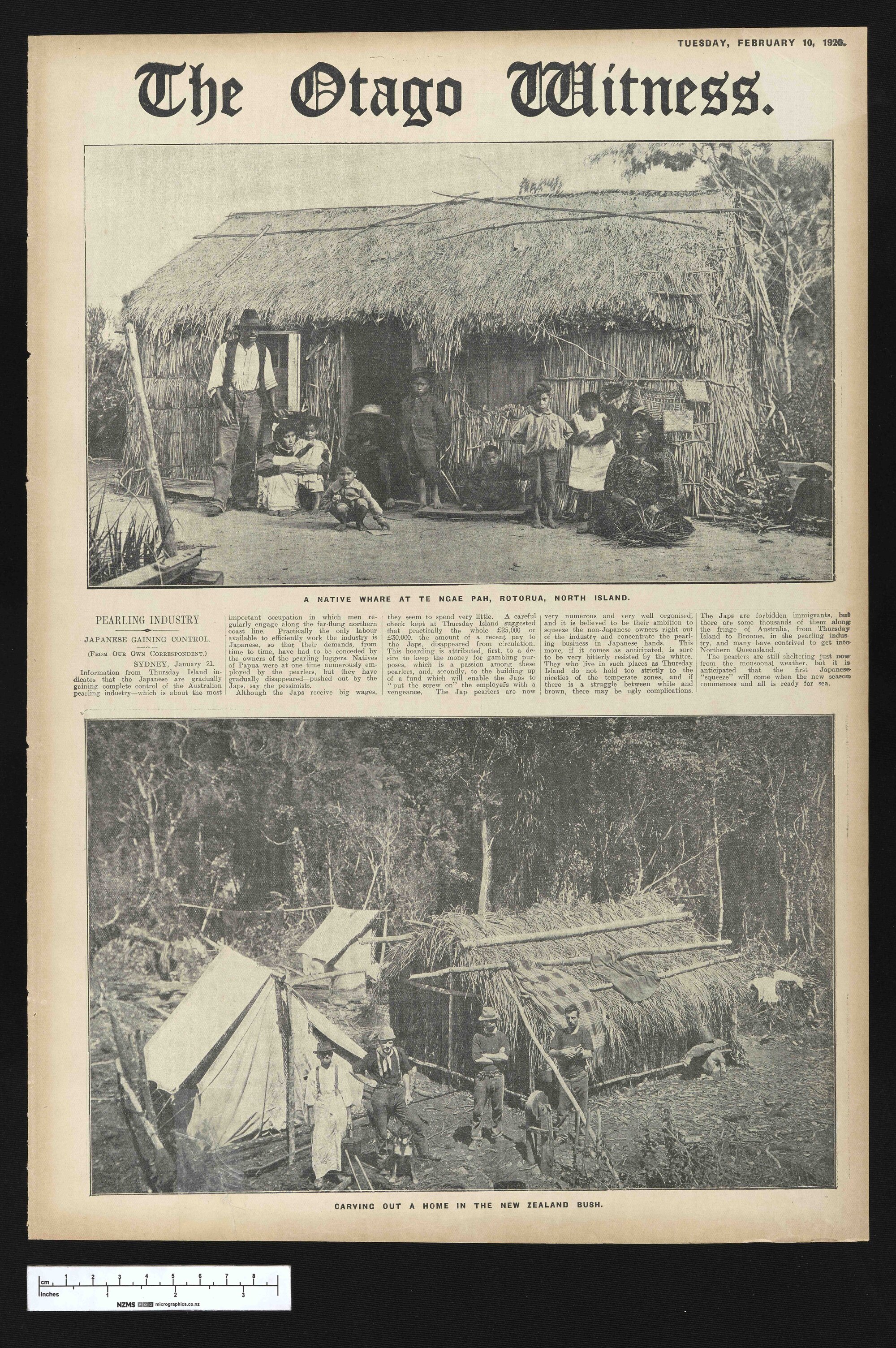 1920-02-10 Otago Witness