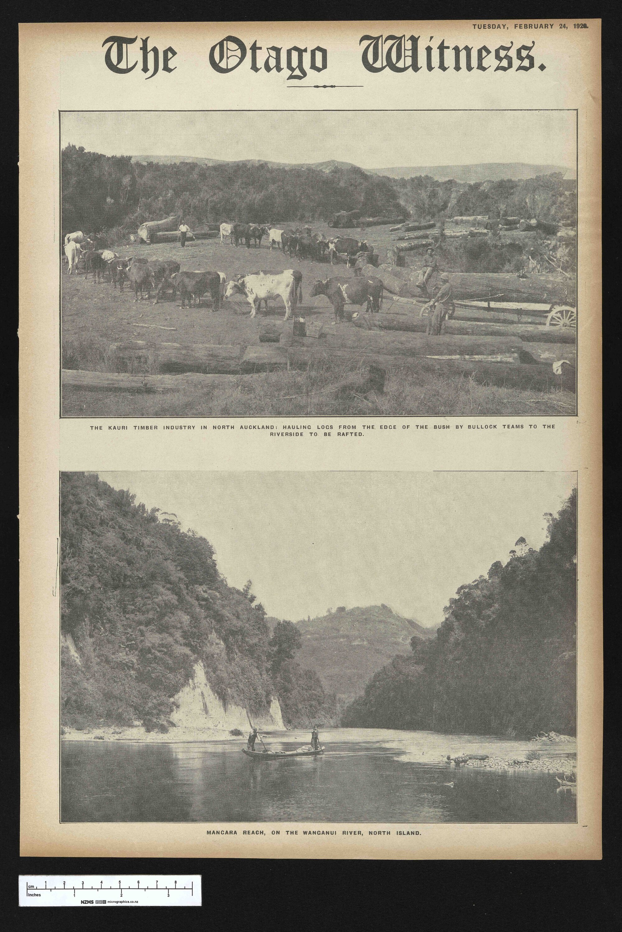1920-02-24 Otago Witness