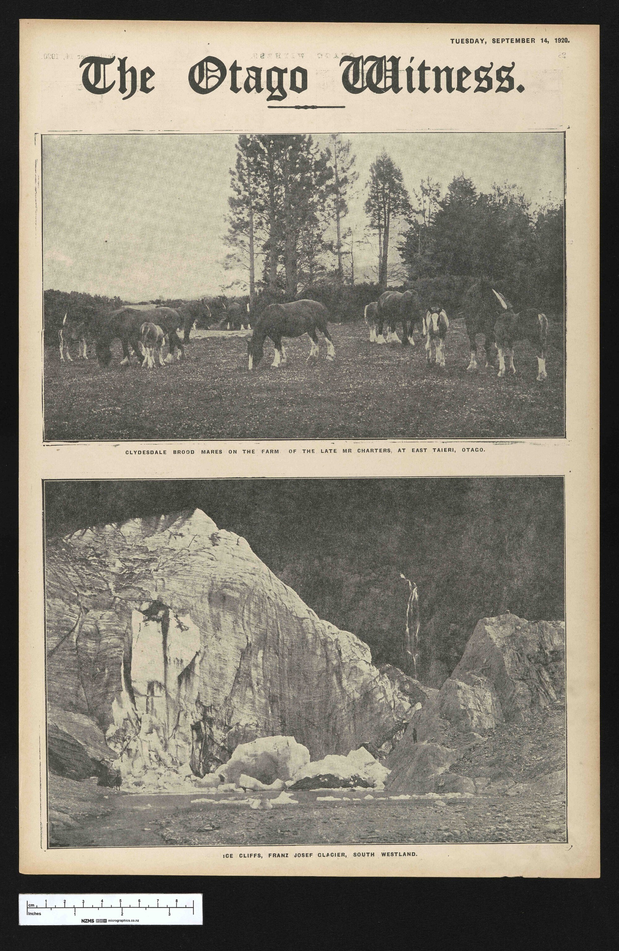 1920-09-14 Otago Witness