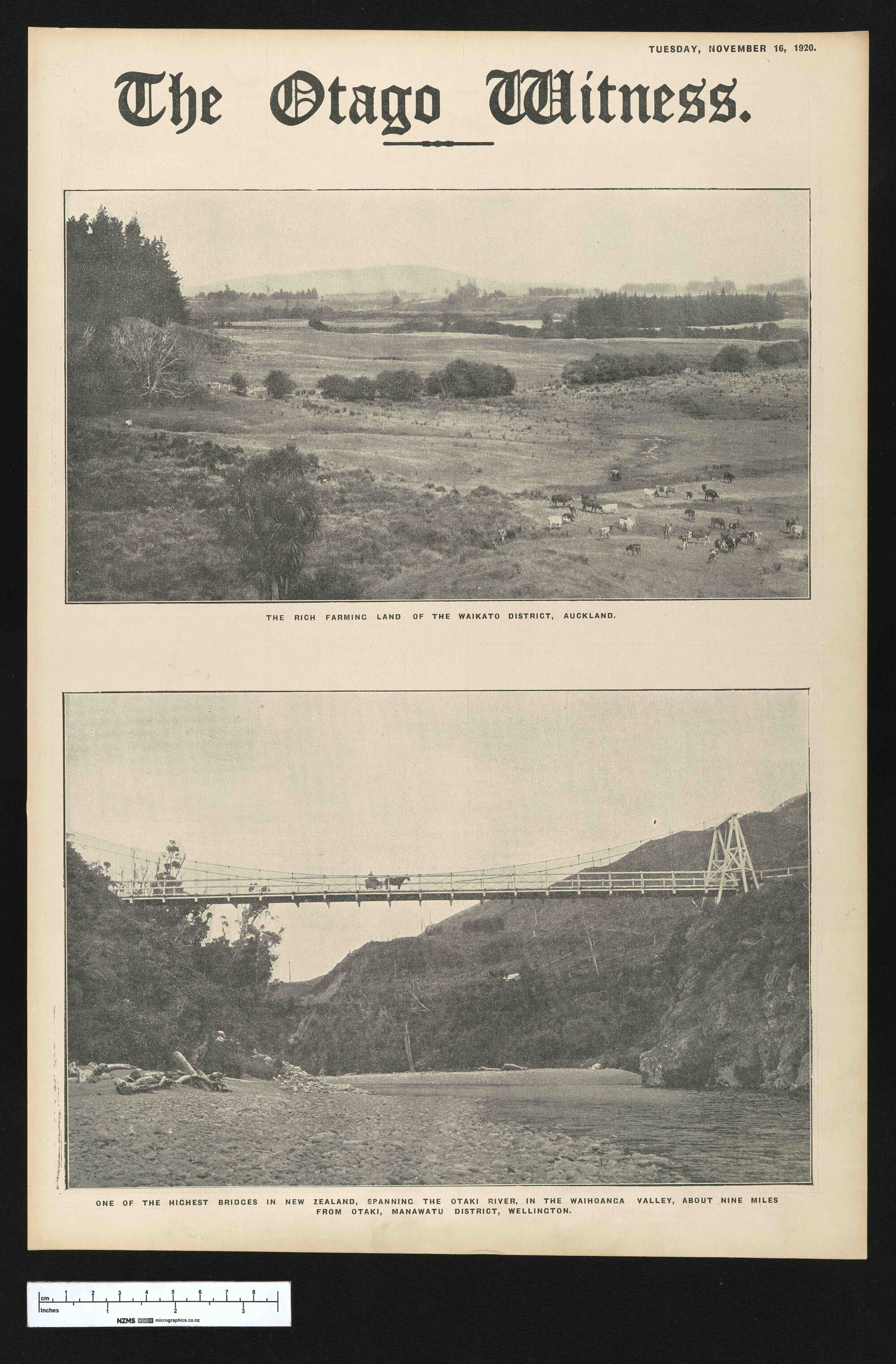 1920-11-16 Otago Witness