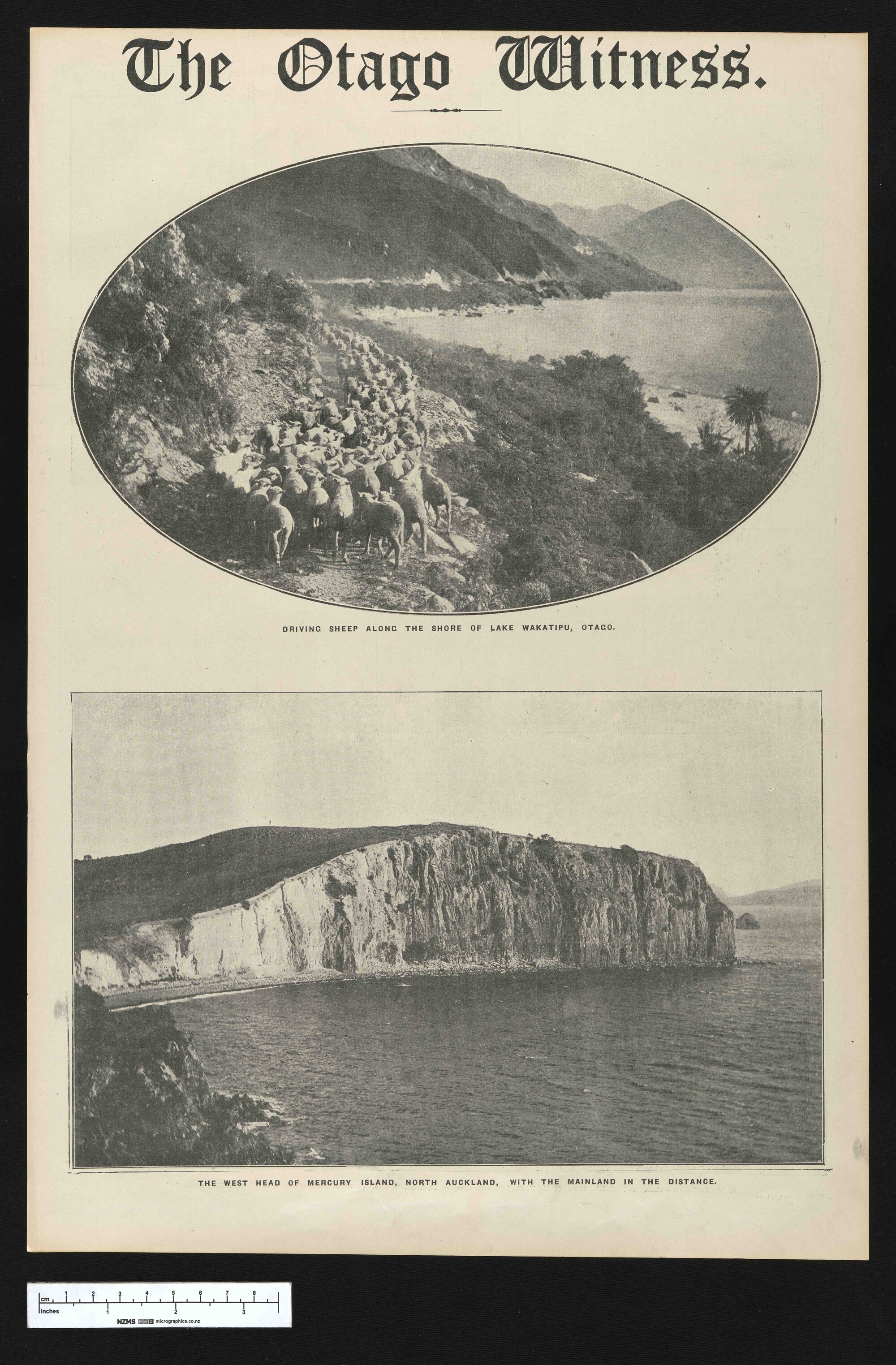 1920-11-30 Otago Witness