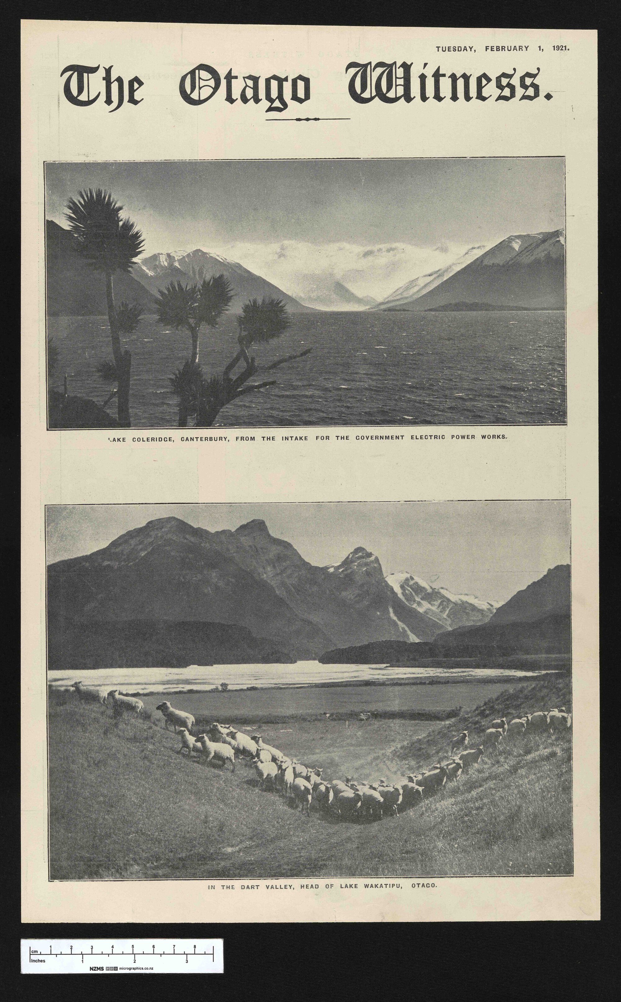 1921-02-01 Otago Witness