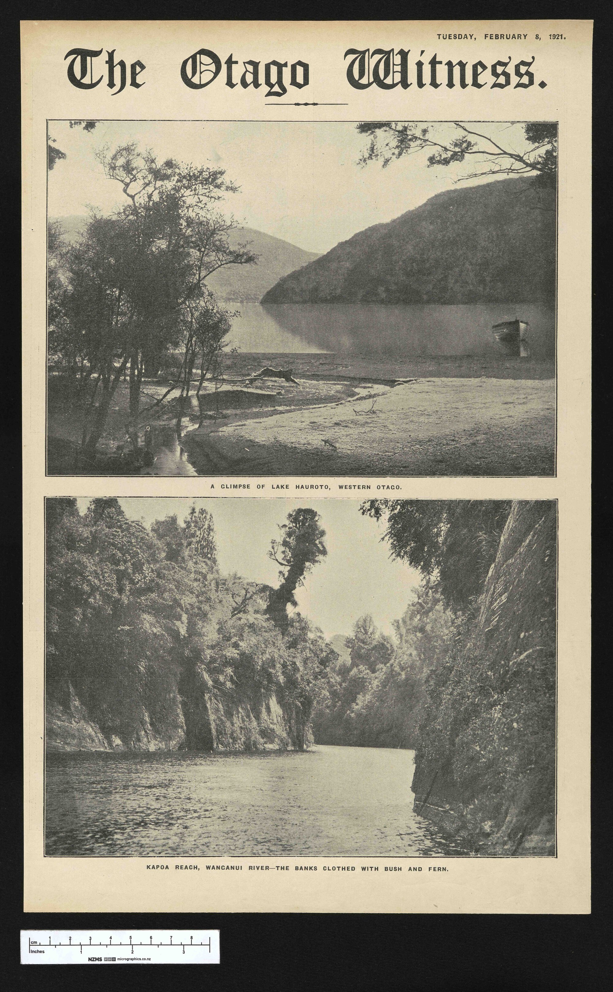 1921-02-08 Otago Witness