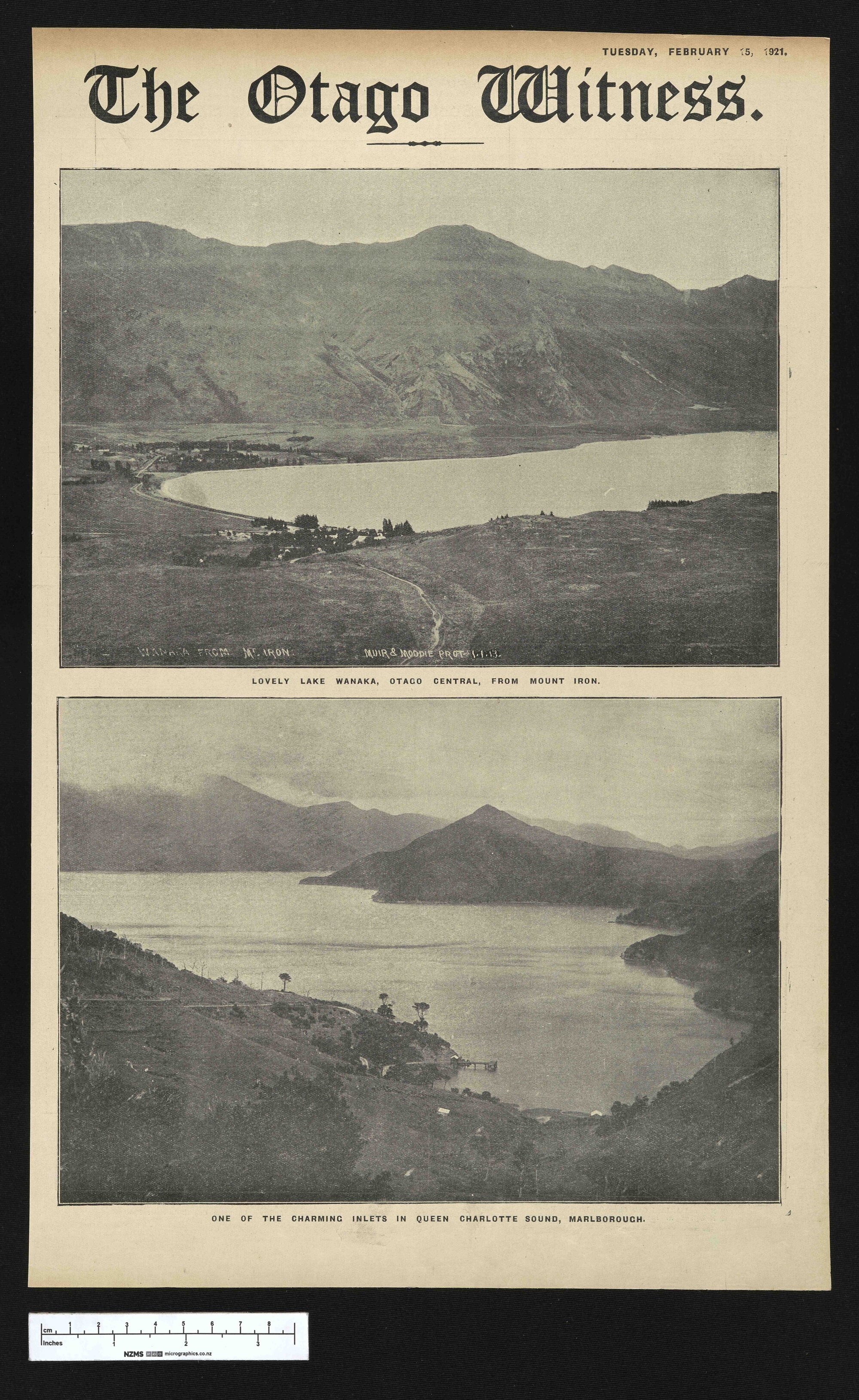 1921-02-15 Otago Witness