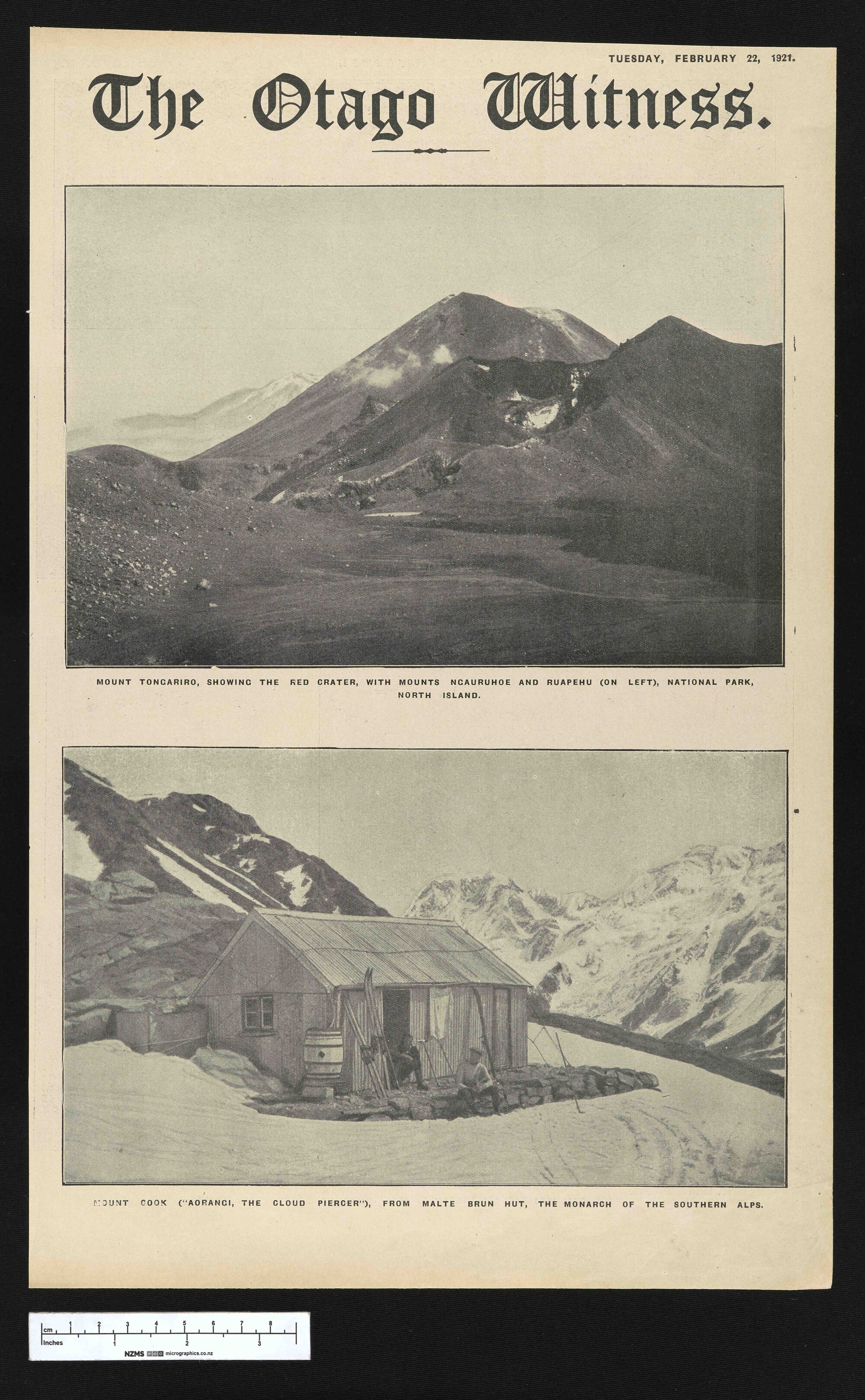 1921-02-22 Otago Witness