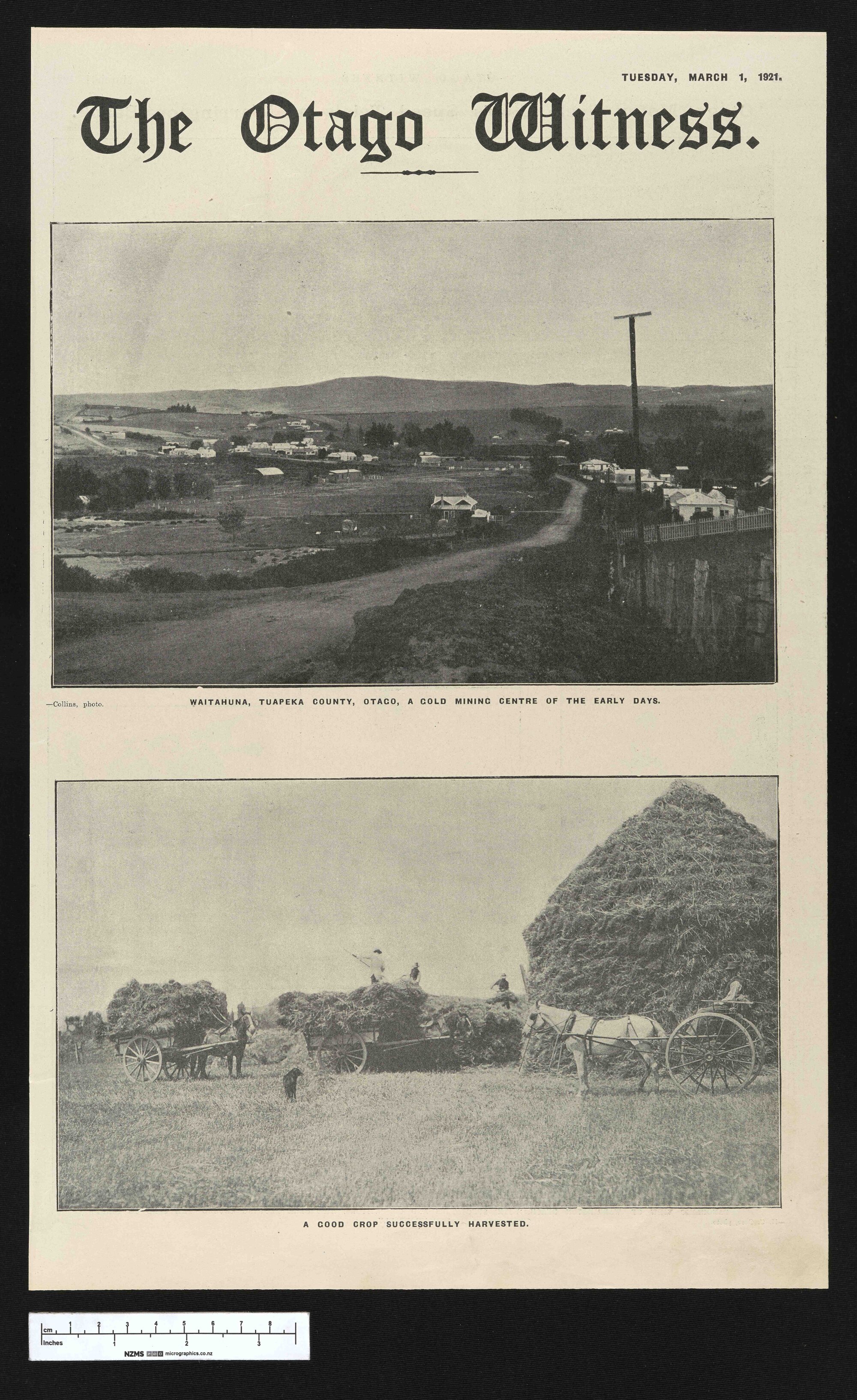 1921-03-01 Otago Witness