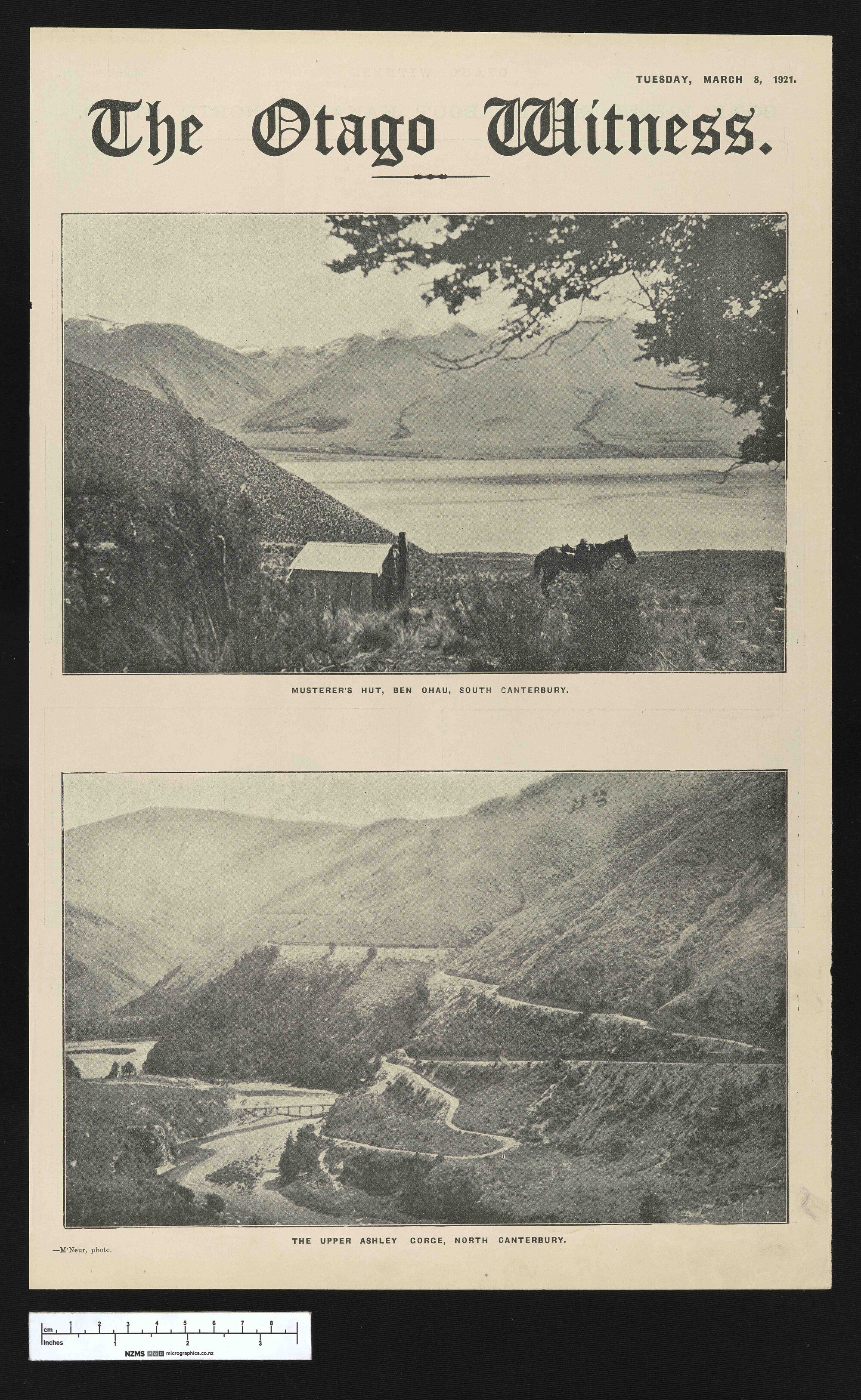 1921-03-08 Otago Witness