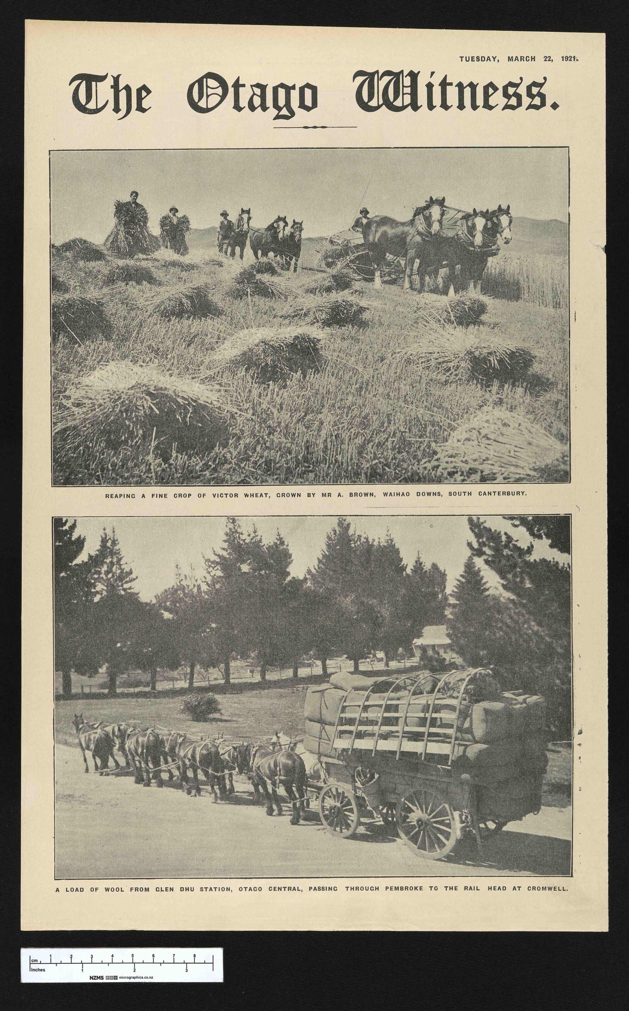 1921-03-22 Otago Witness