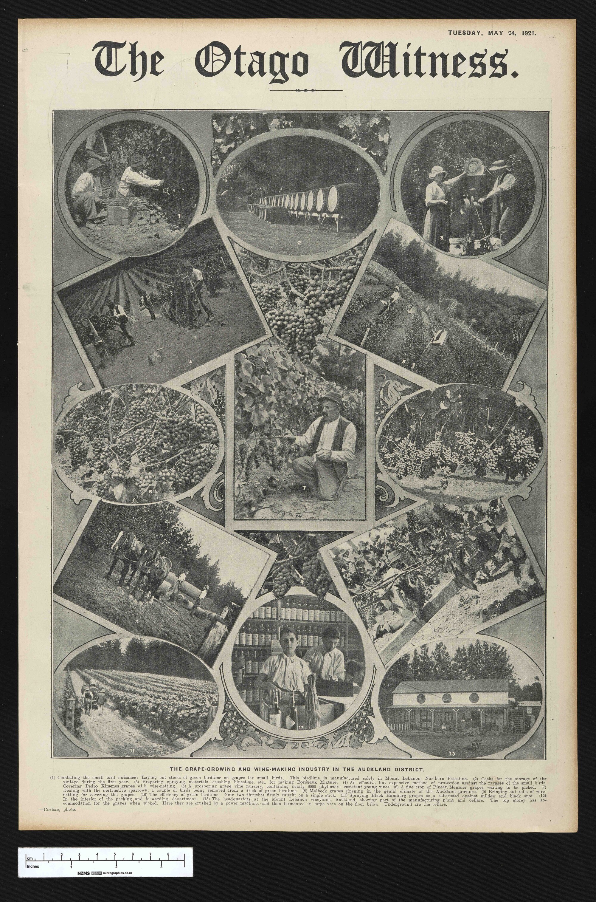 1921-05-24 Otago Witness