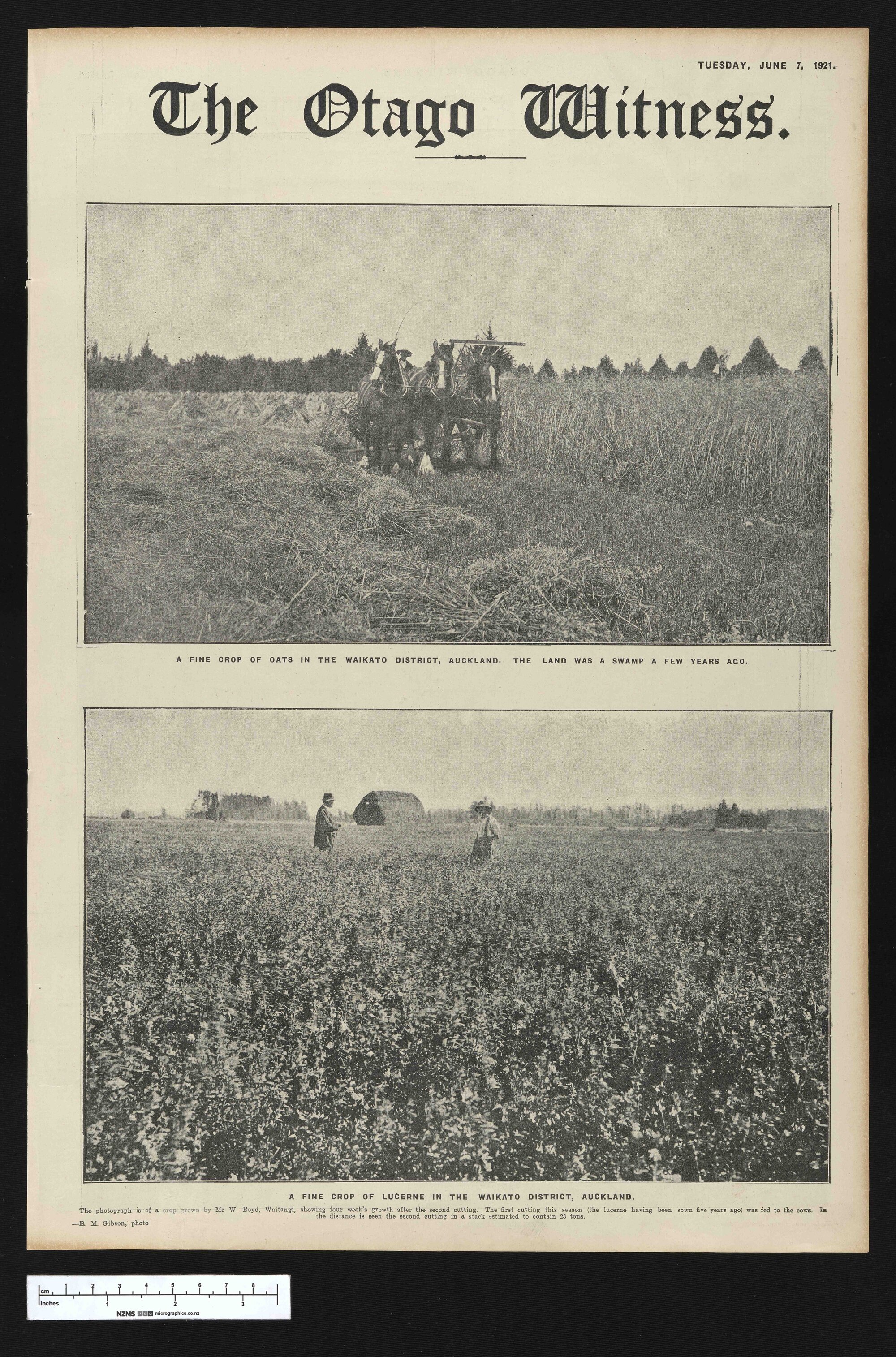 1921-06-07 Otago Witness