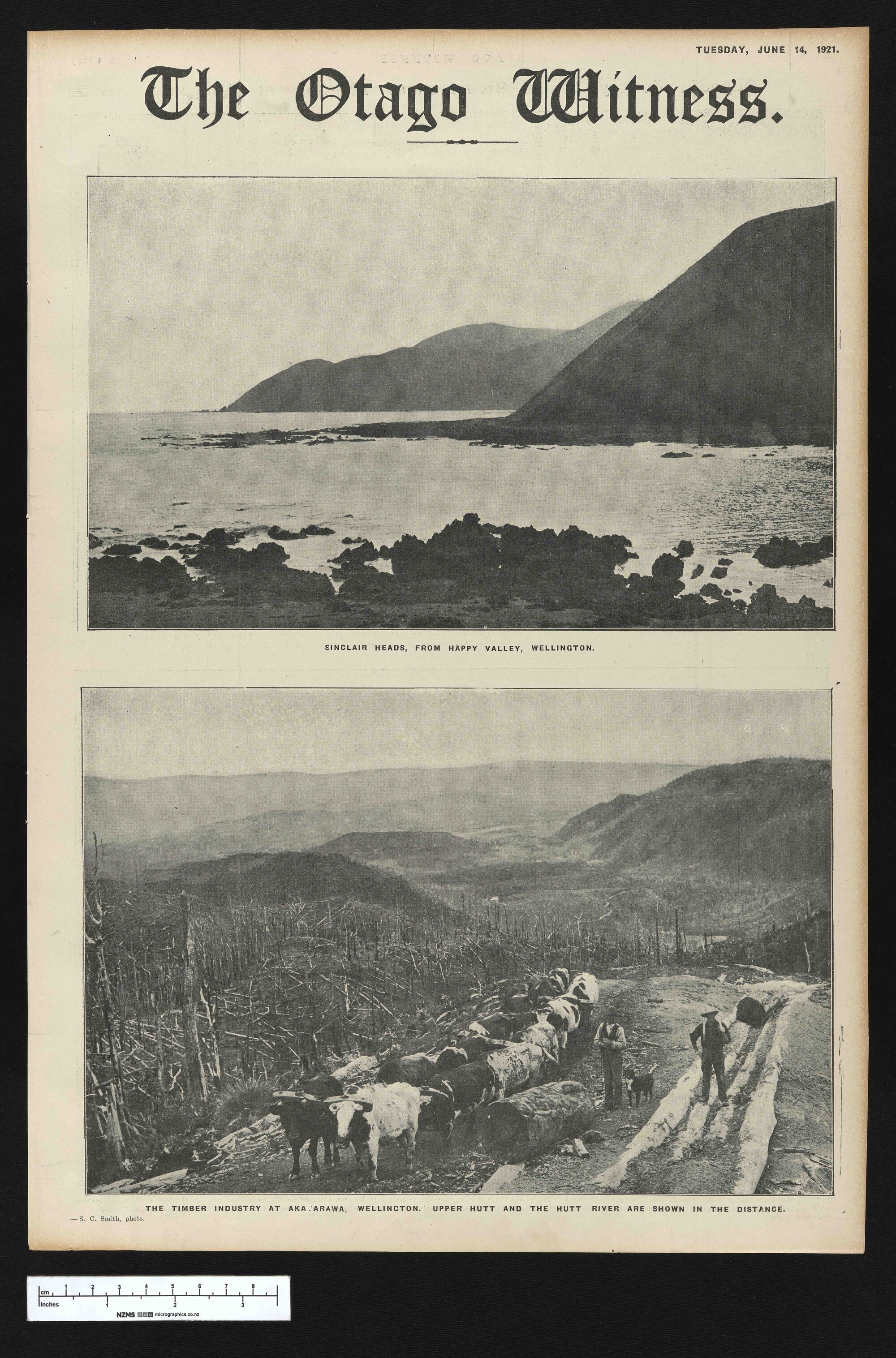 1921-06-14 Otago Witness