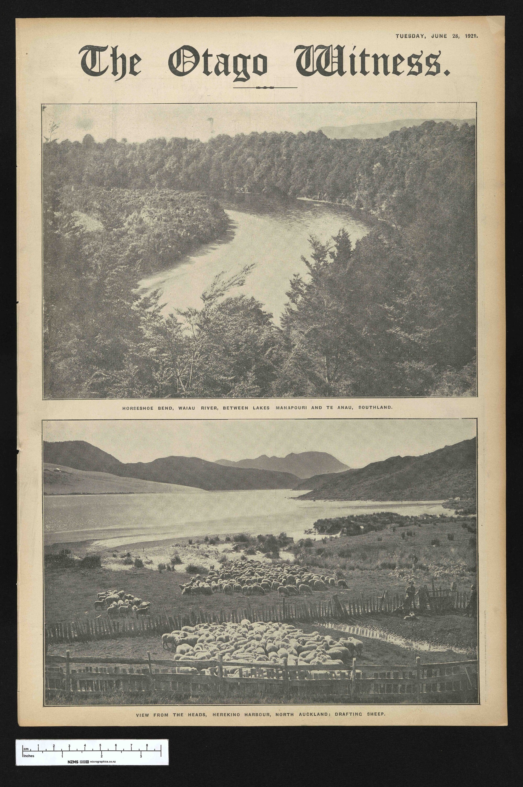 1921-06-28 Otago Witness