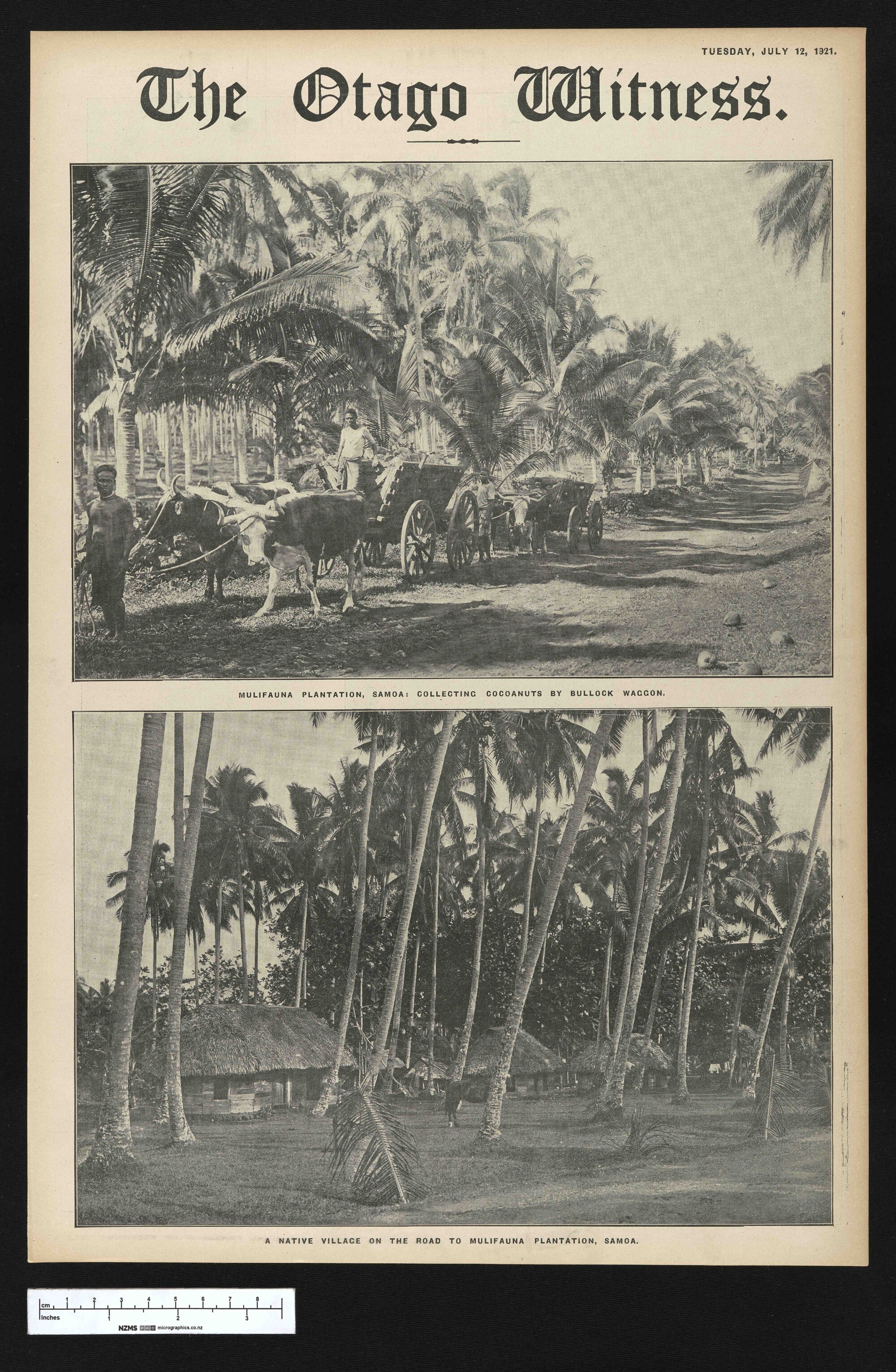 1921-07-12 Otago Witness