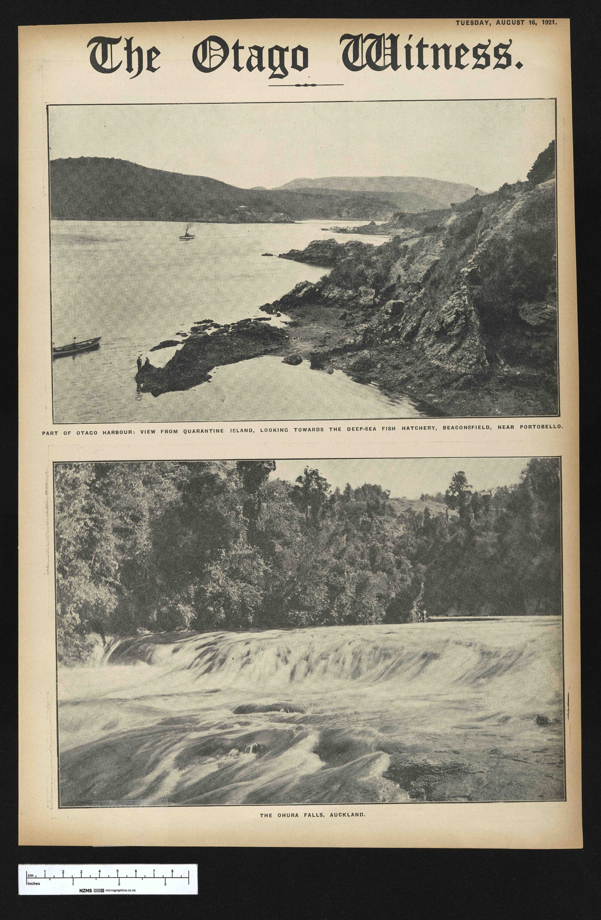 1921-08-16 Otago Witness