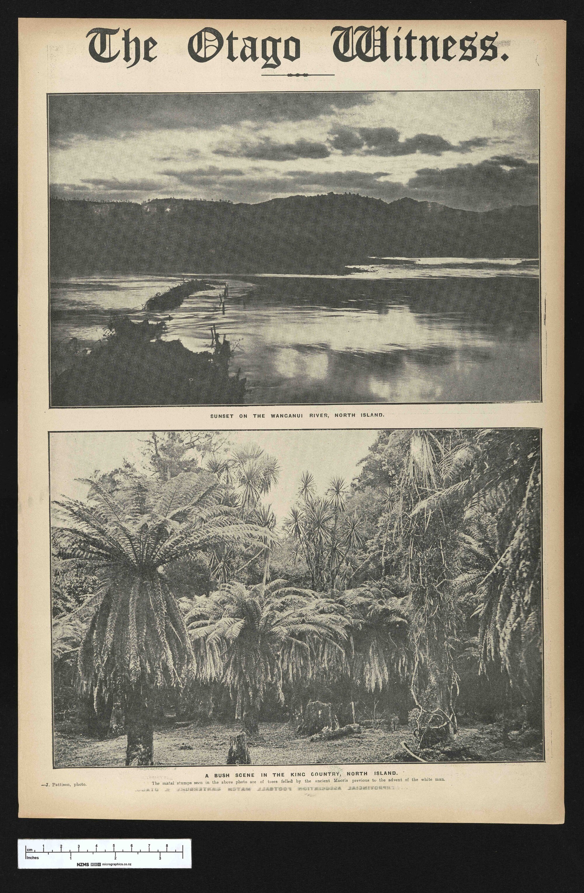 1921-08-30 Otago Witness