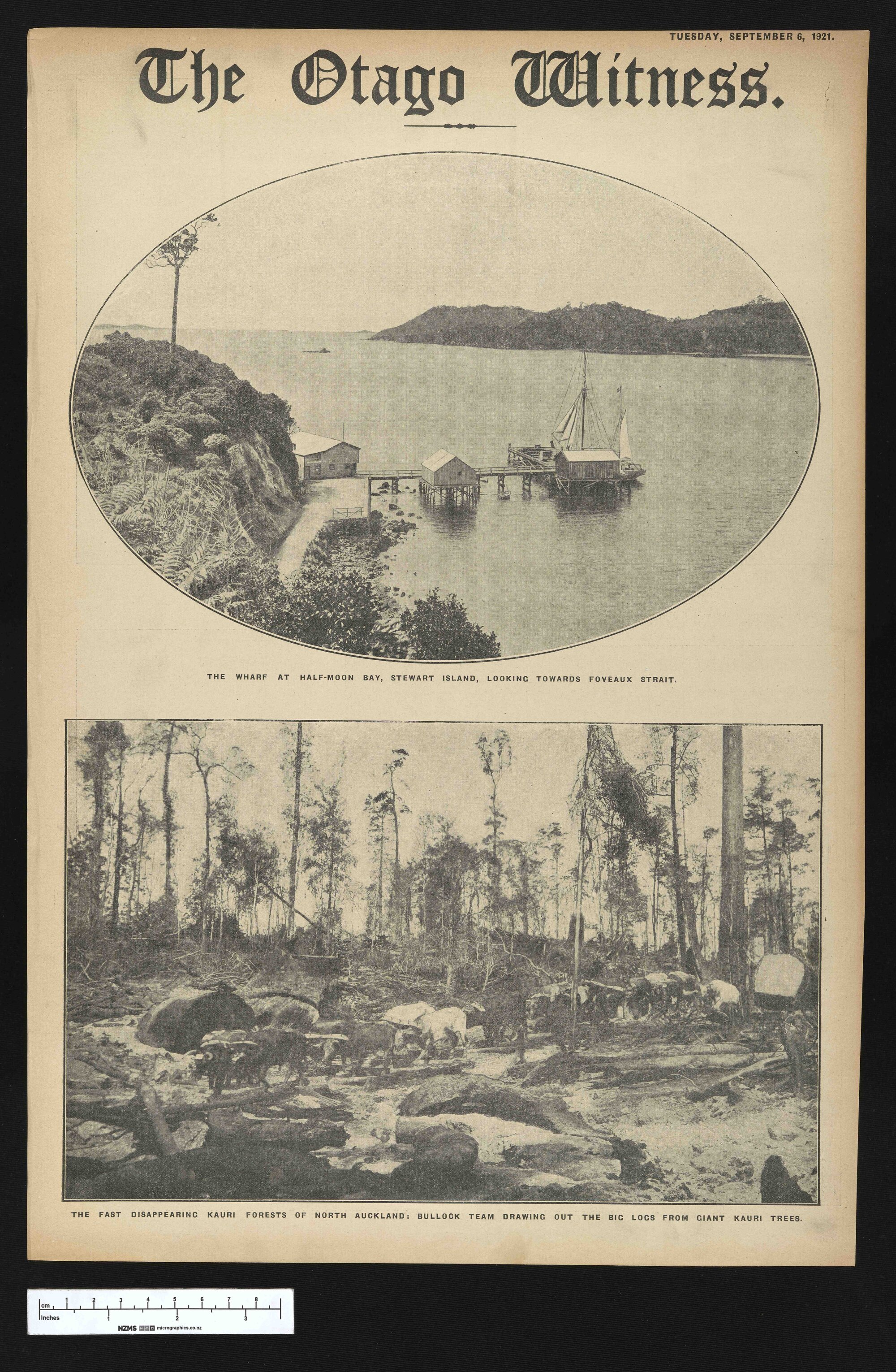 1921-09-06 Otago Witness