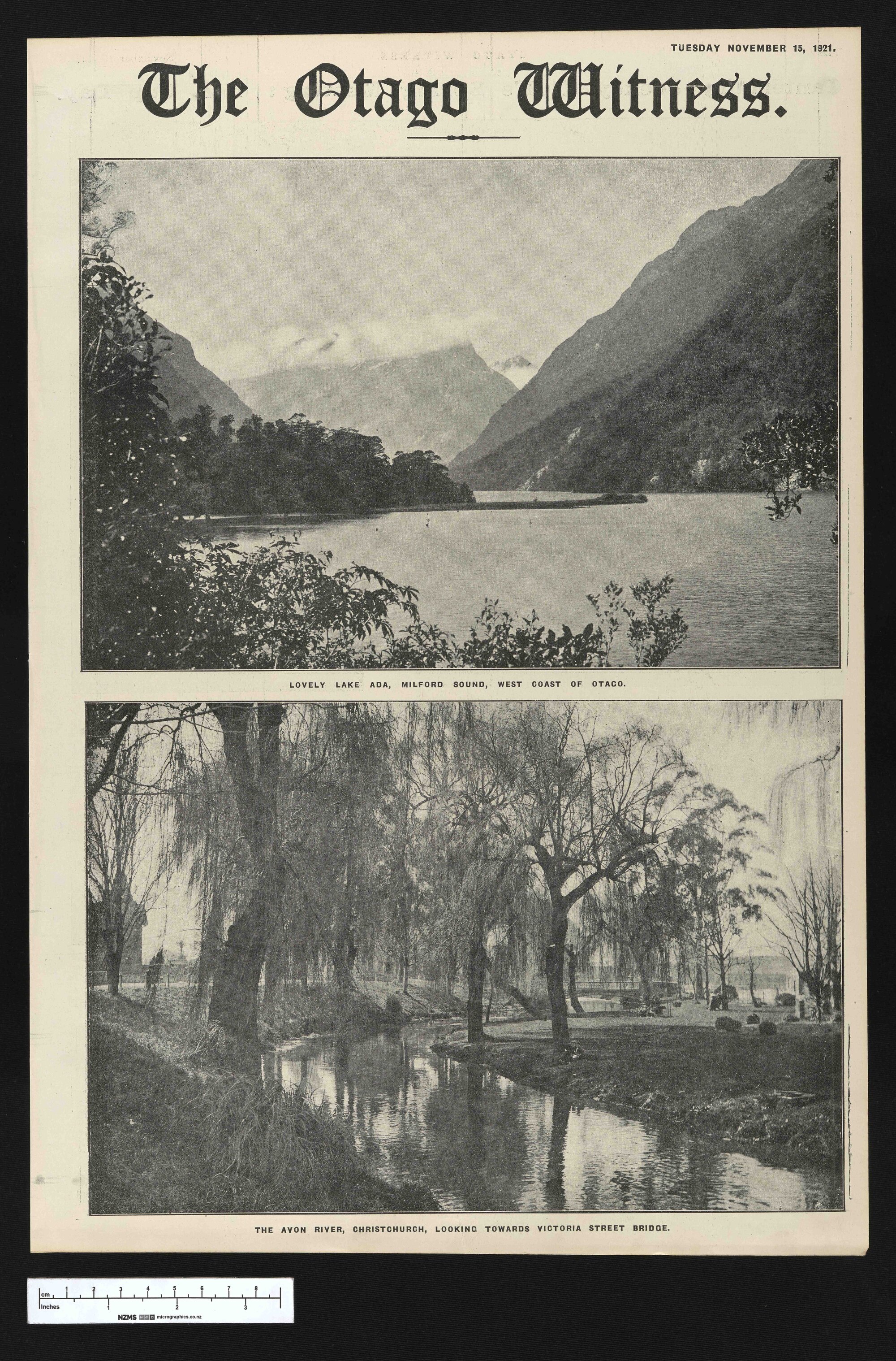 1921-11-15 Otago Witness