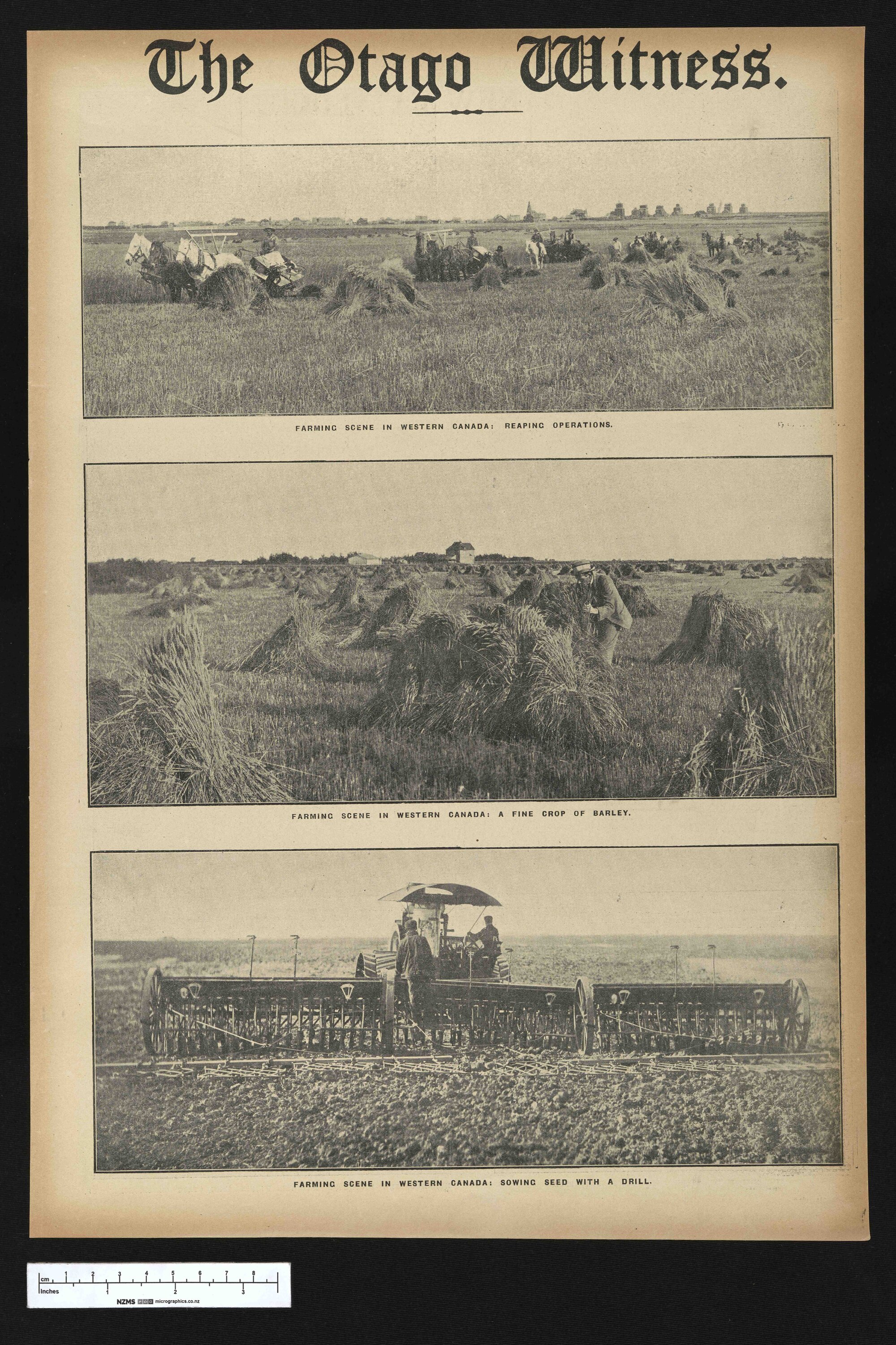 1922-02-14 Otago Witness