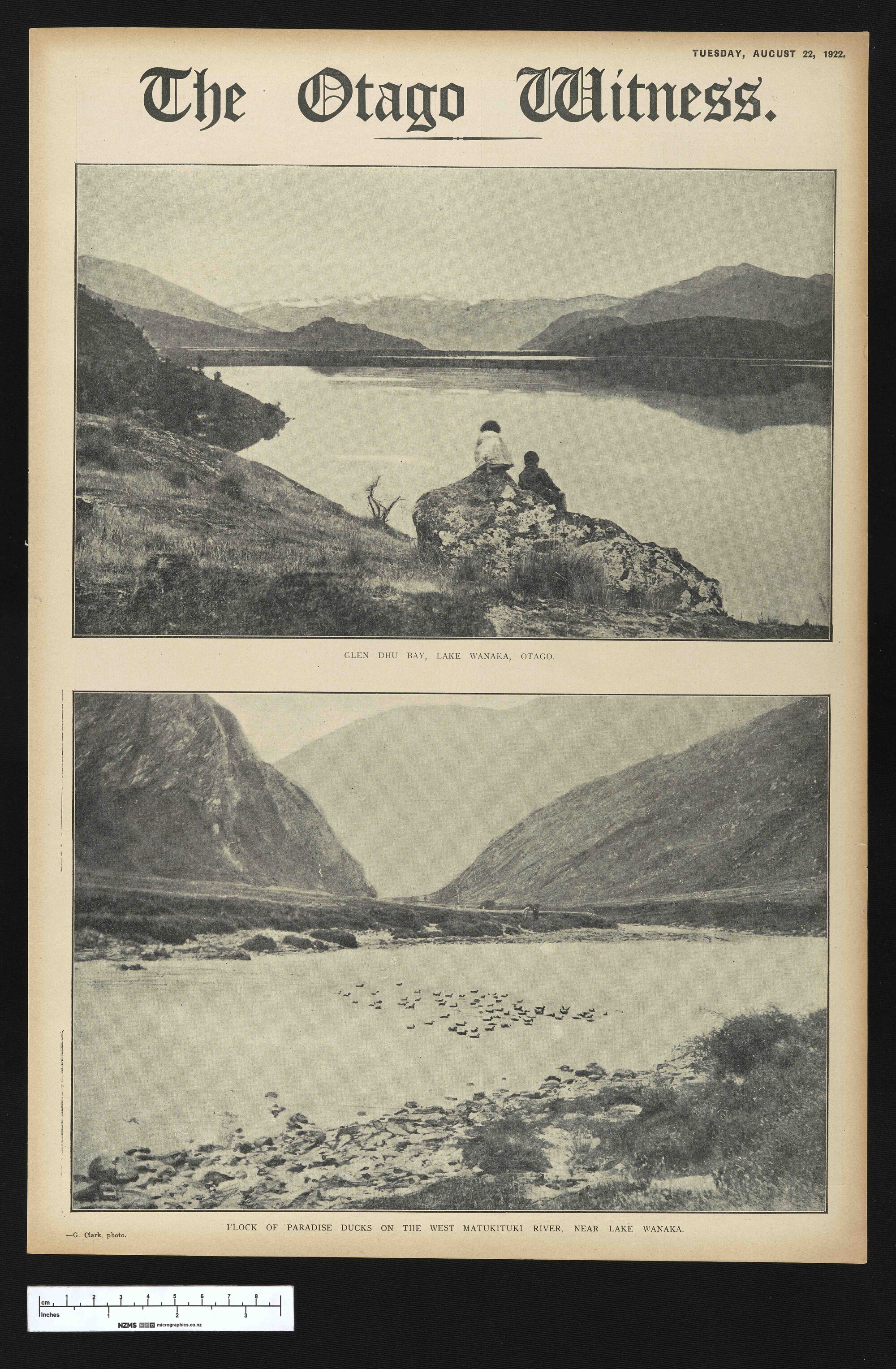 1922-08-22 Otago Witness