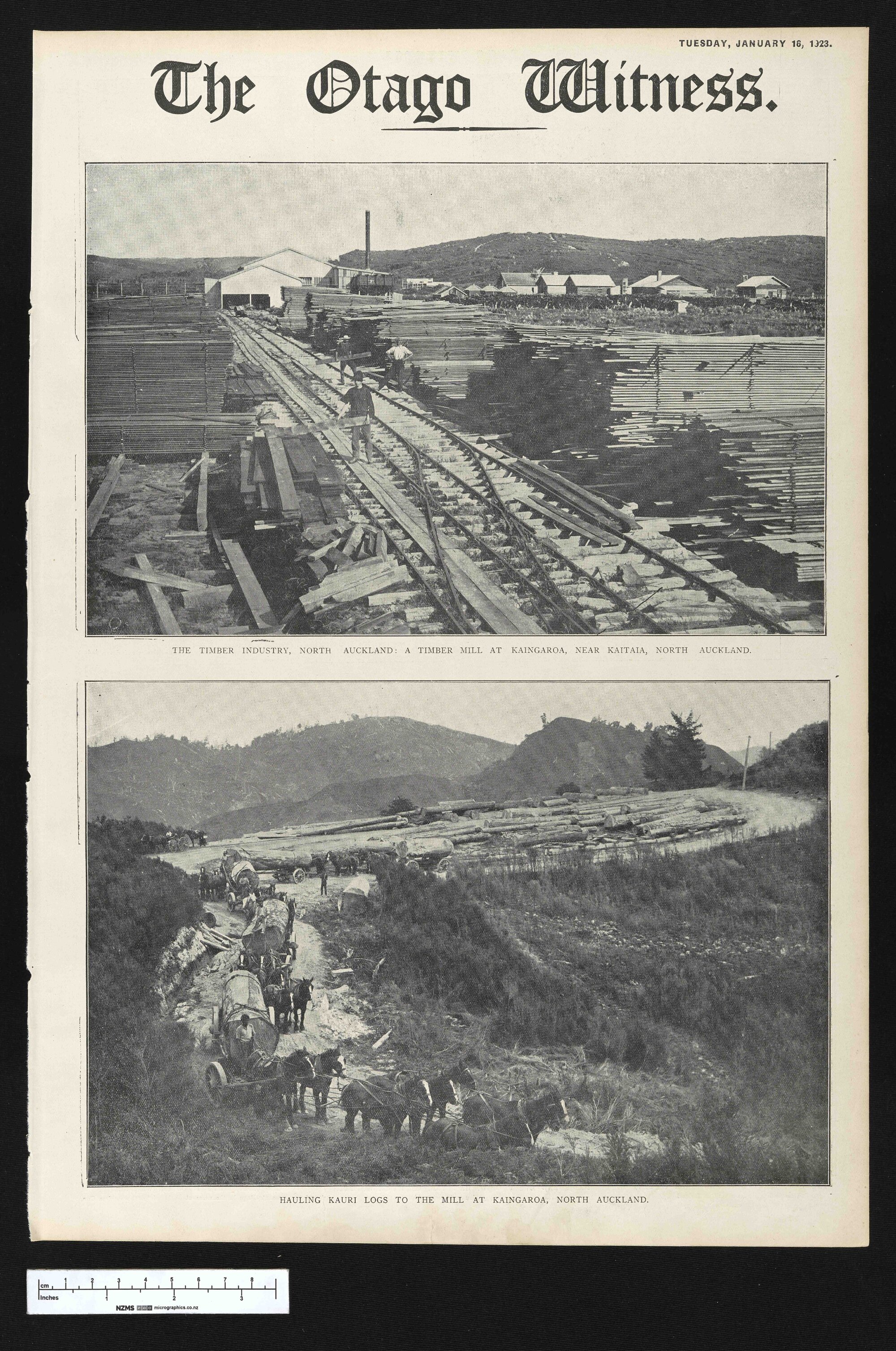 1923-01-16 Otago Witness