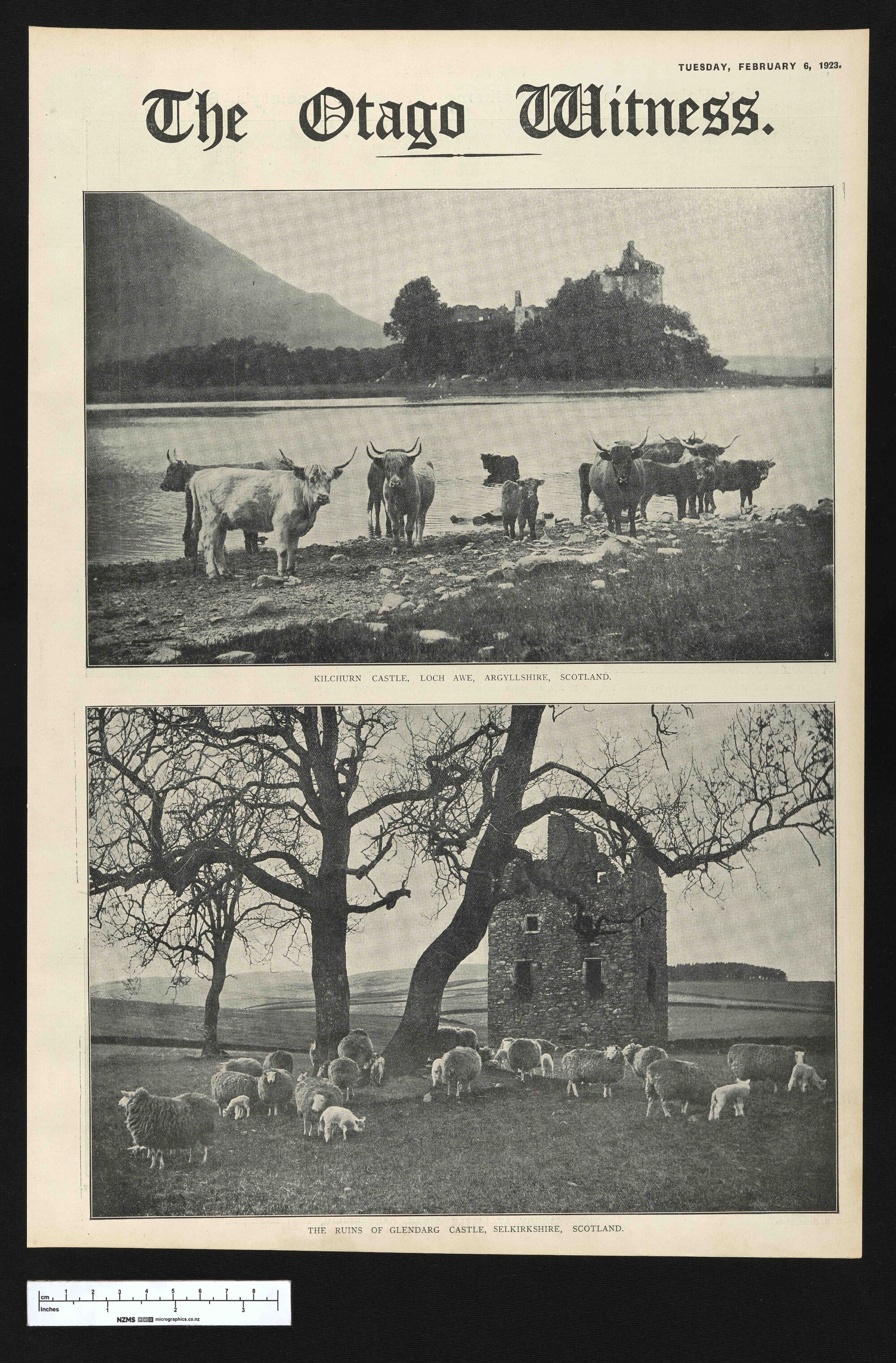 1923-02-06 Otago Witness