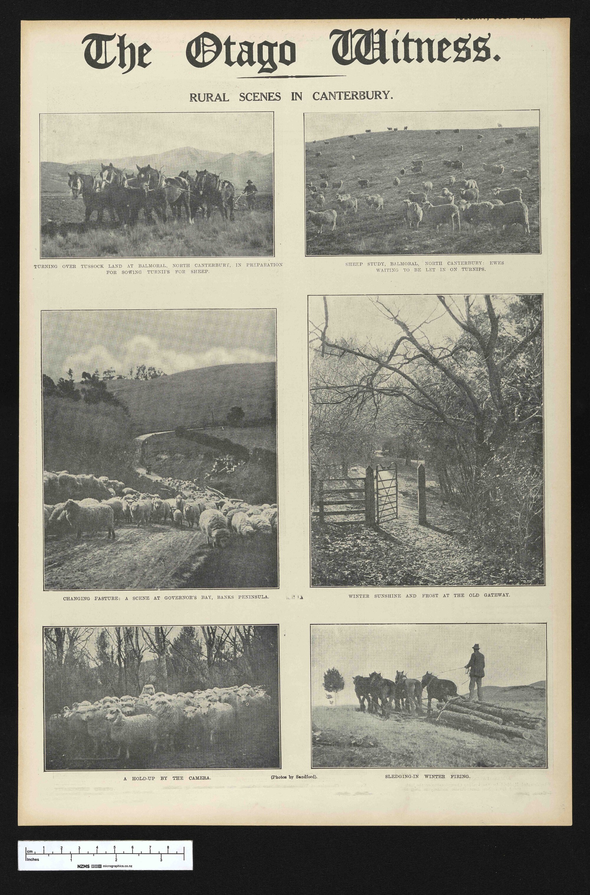 1923-07-31 Otago Witness