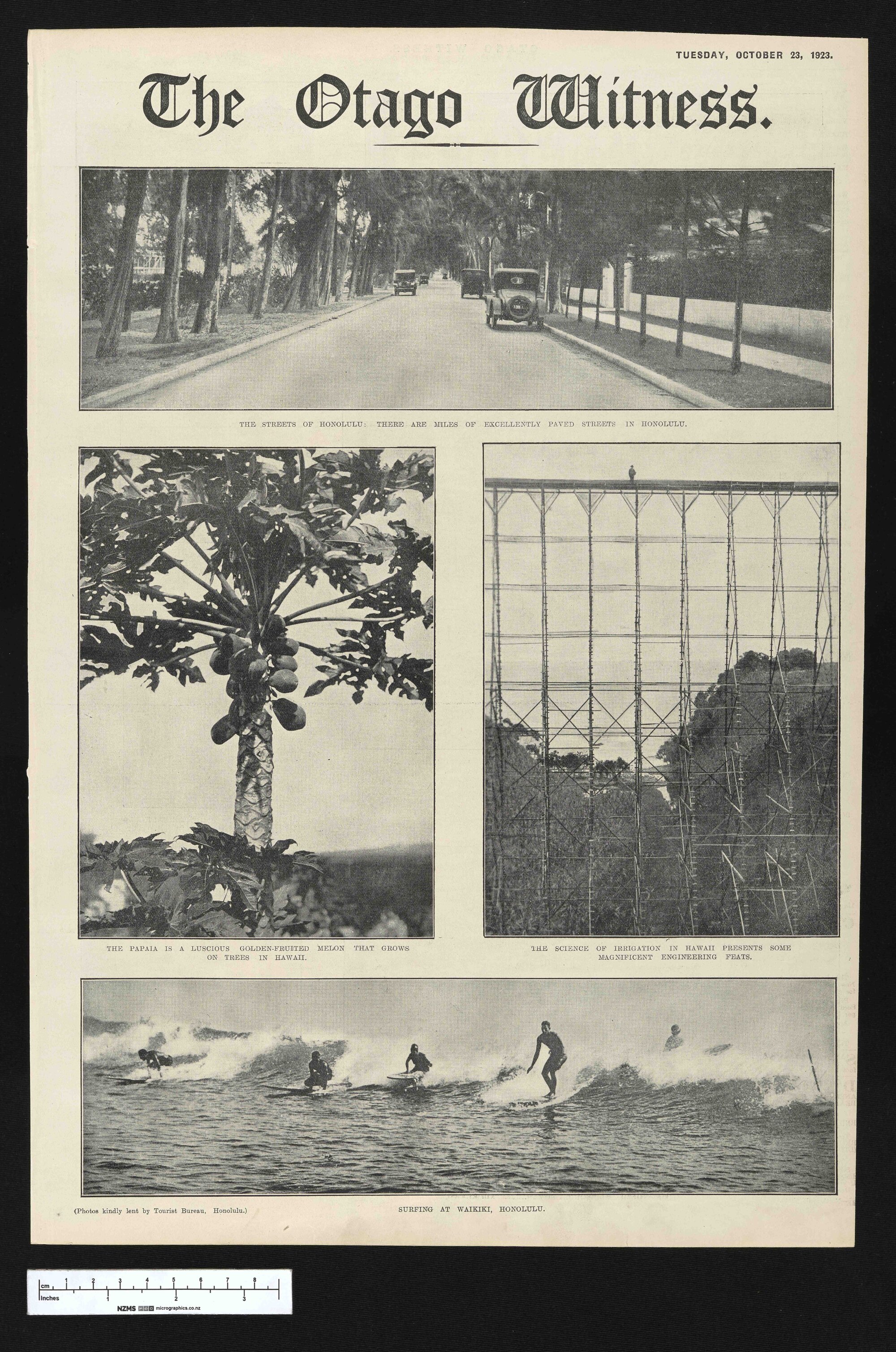 1923-10-23 Otago Witness